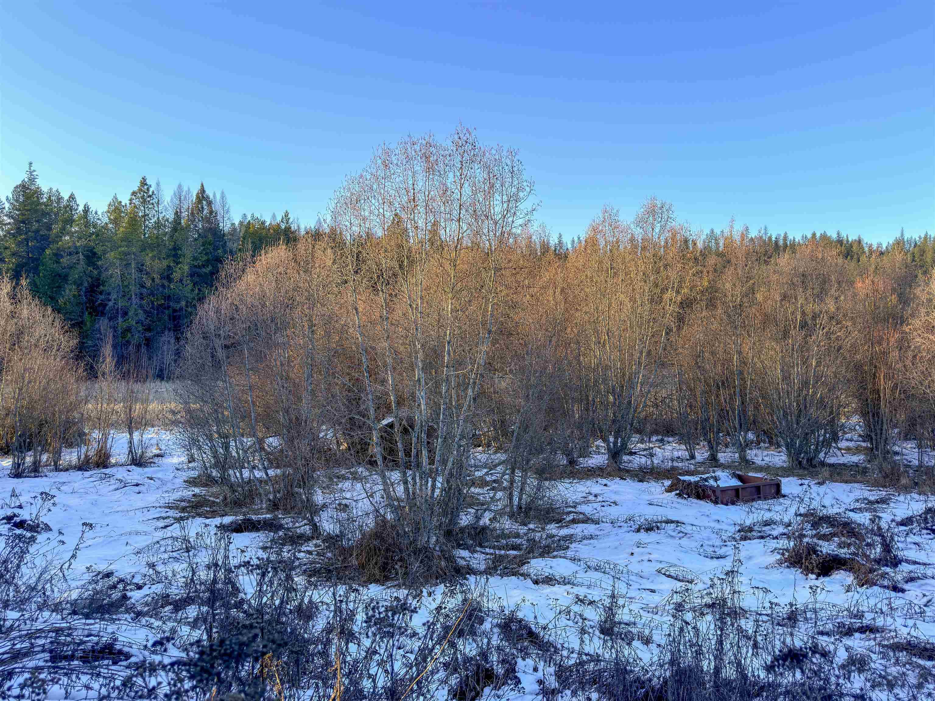 331861 2 Hwy, Newport, WA 99156