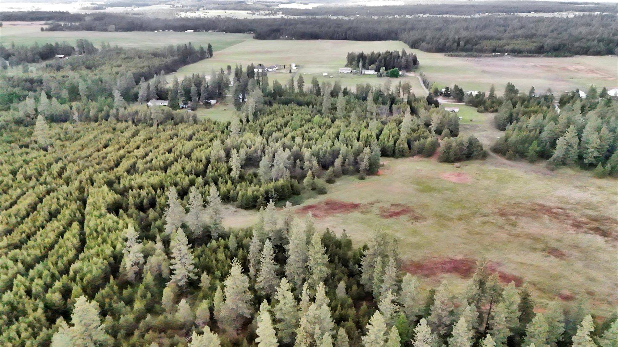 xxxx W Mason Rd (10 acres), Deer Park, WA 99006