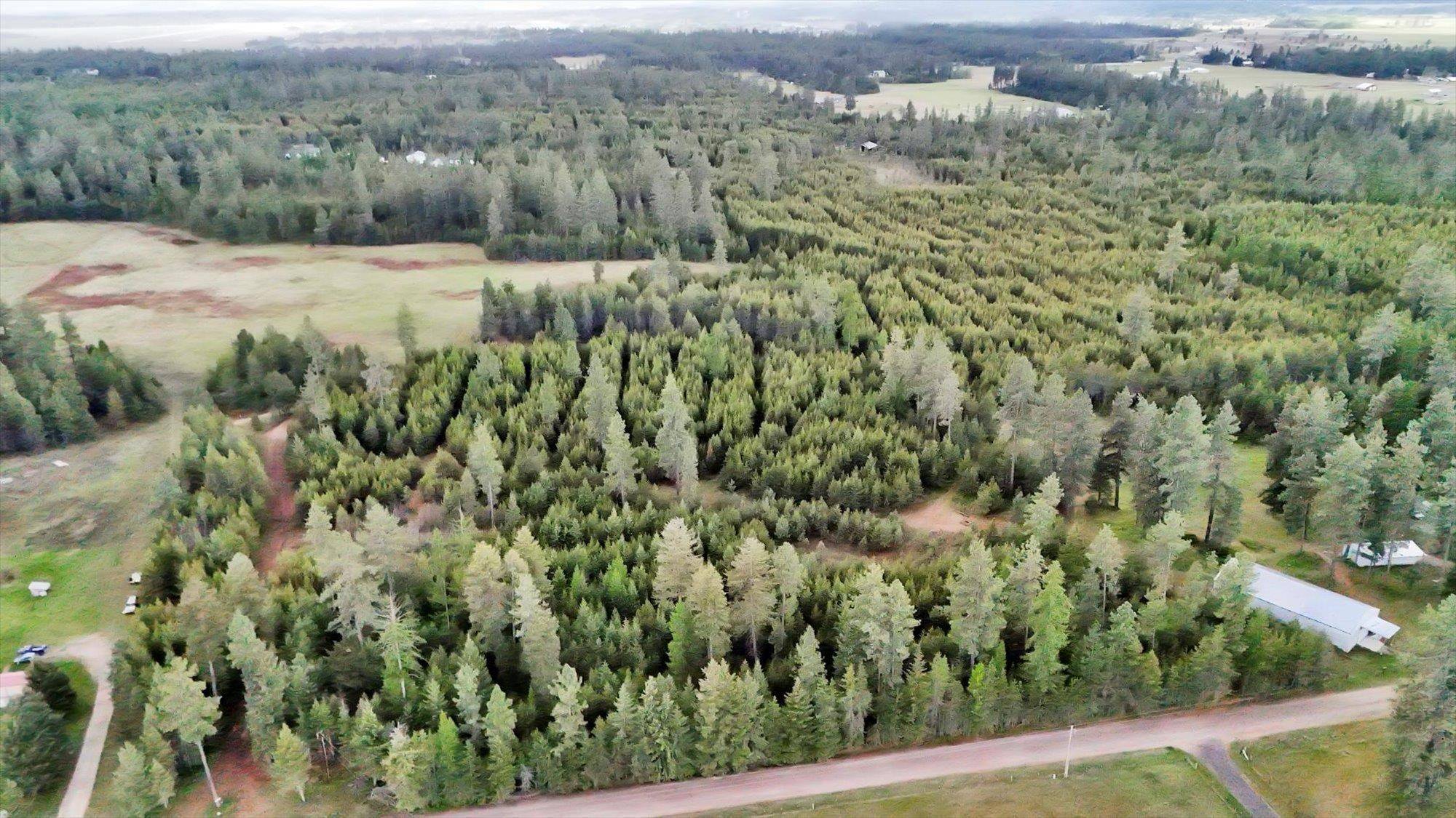 xxxx W Mason Rd (10 acres), Deer Park, WA 99006