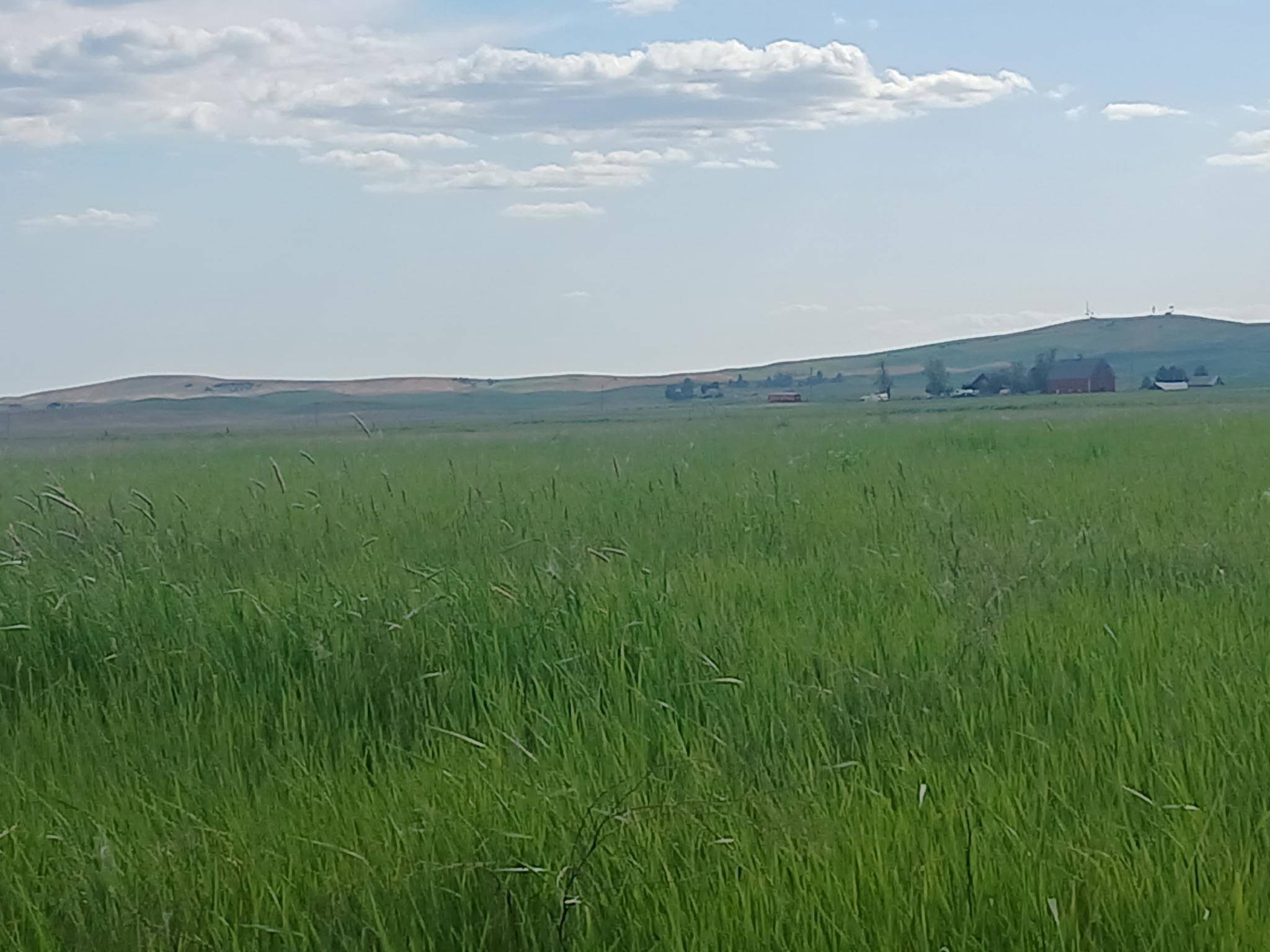295xx W Hallett Rd, Medical Lake, WA 99022