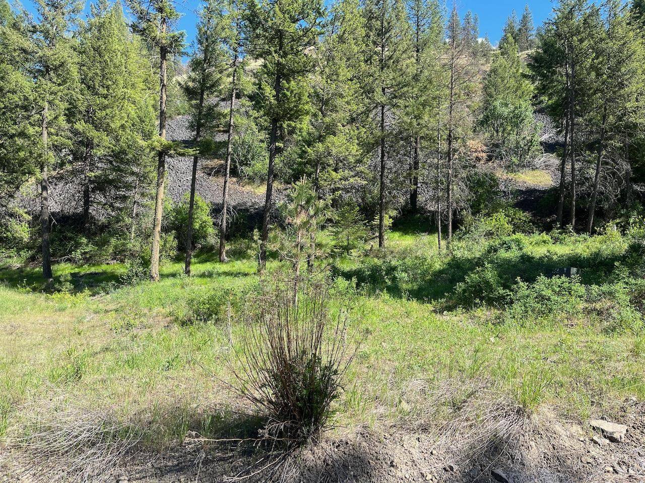 Lot 1 Blue Jay Bob White Ln, Davenport, WA 99122