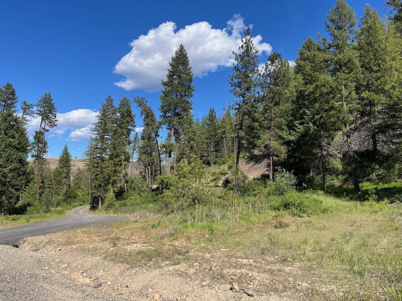 Lot 1 Blue Jay Bob White Ln, Davenport, WA 99122