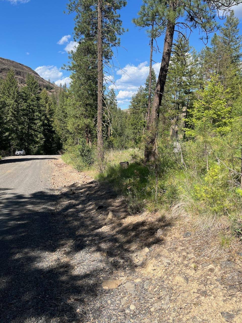 Lot 1 Blue Jay Bob White Ln, Davenport, WA 99122