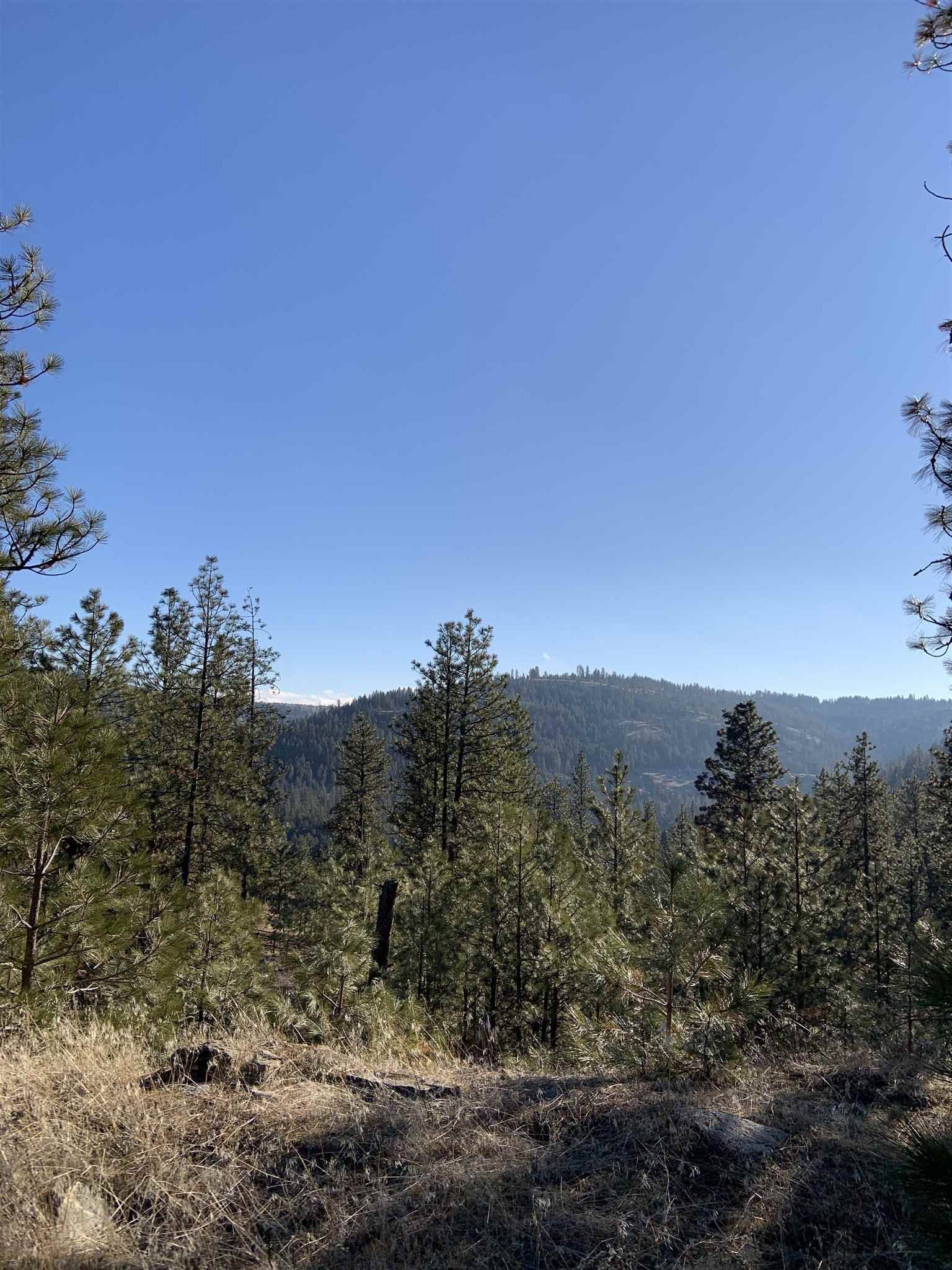 Lot 1 Blue Jay Bob White Ln, Davenport, WA 99122