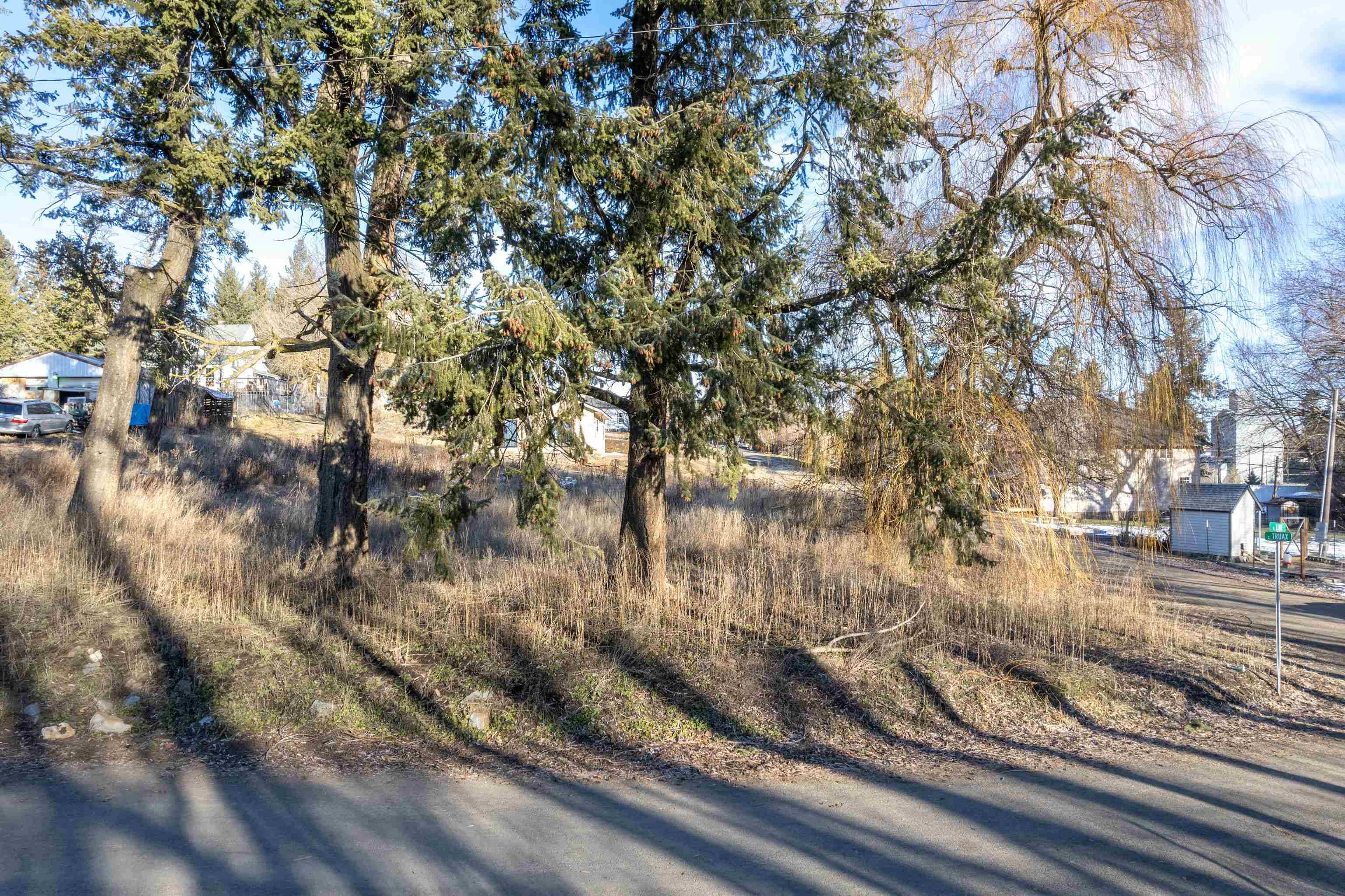 XXX Truax St, Tekoa, WA 99003
