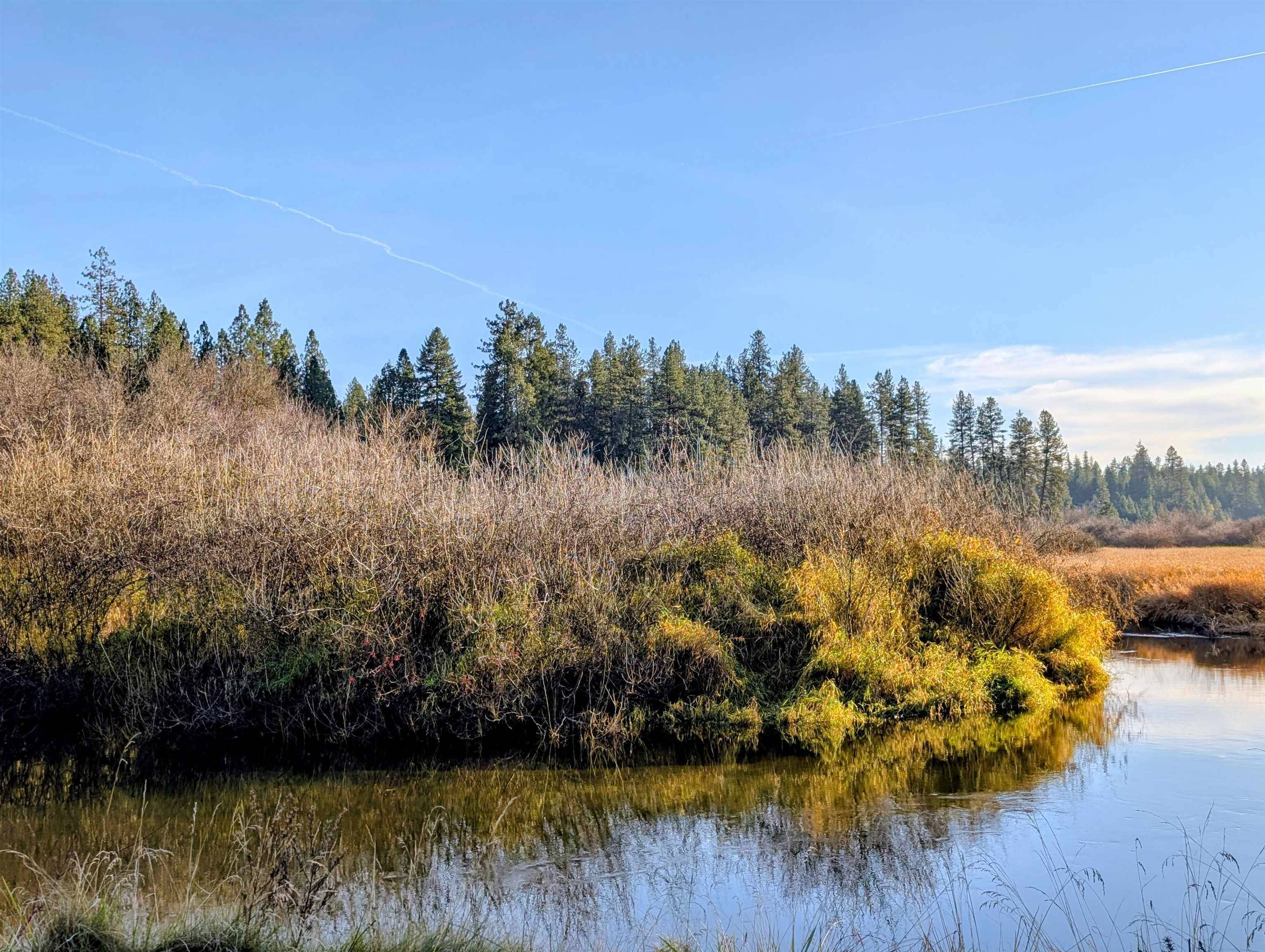 26310 N River Estates Dr, Chattaroy, WA 99003