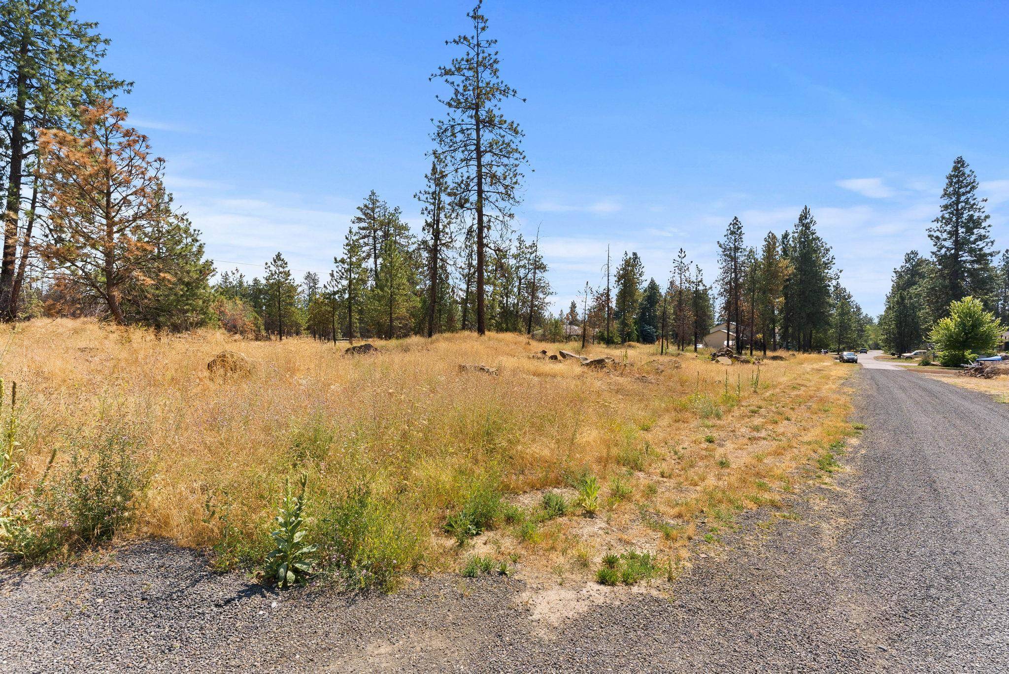 13xxx S Wesley St, Medical Lake, WA 99022