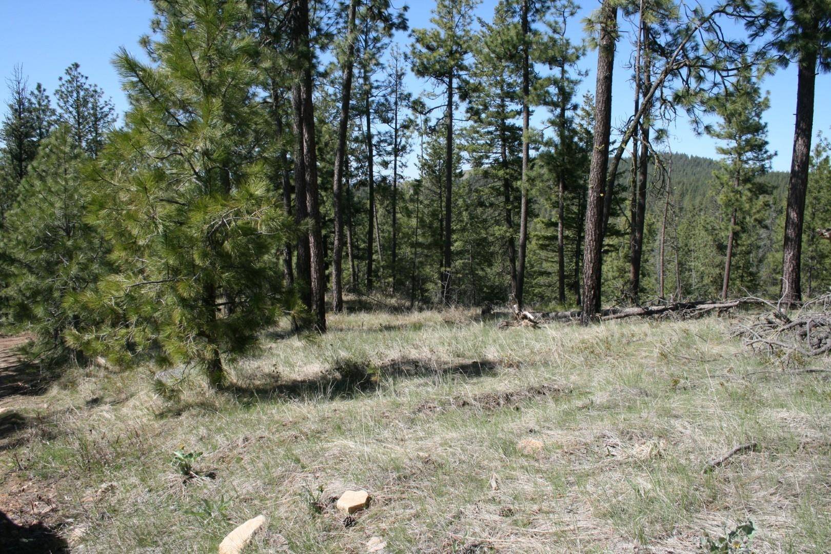 xx Coyote Canyon Rd, Fruitland, WA 99129