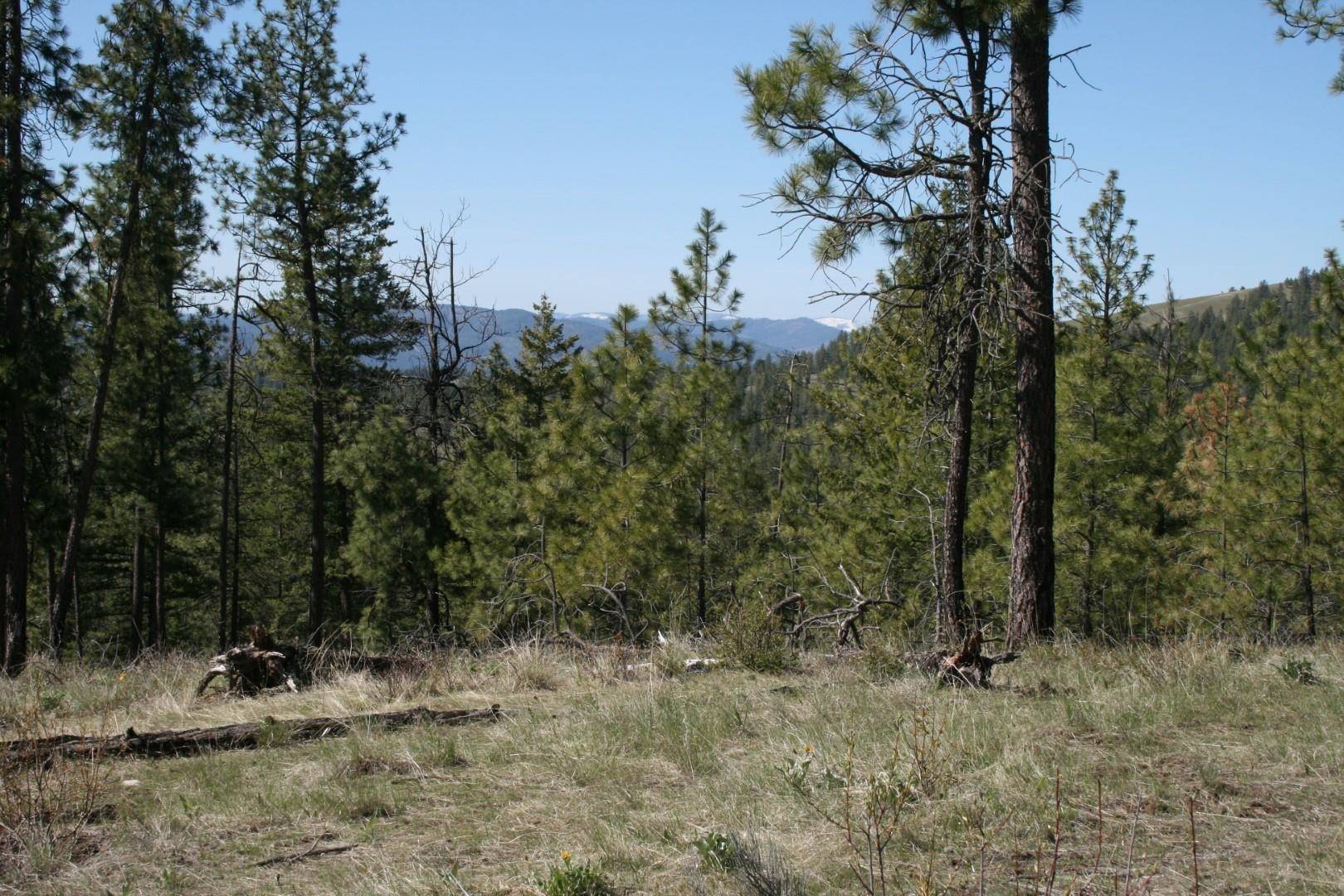 xx Coyote Canyon Rd, Fruitland, WA 99129