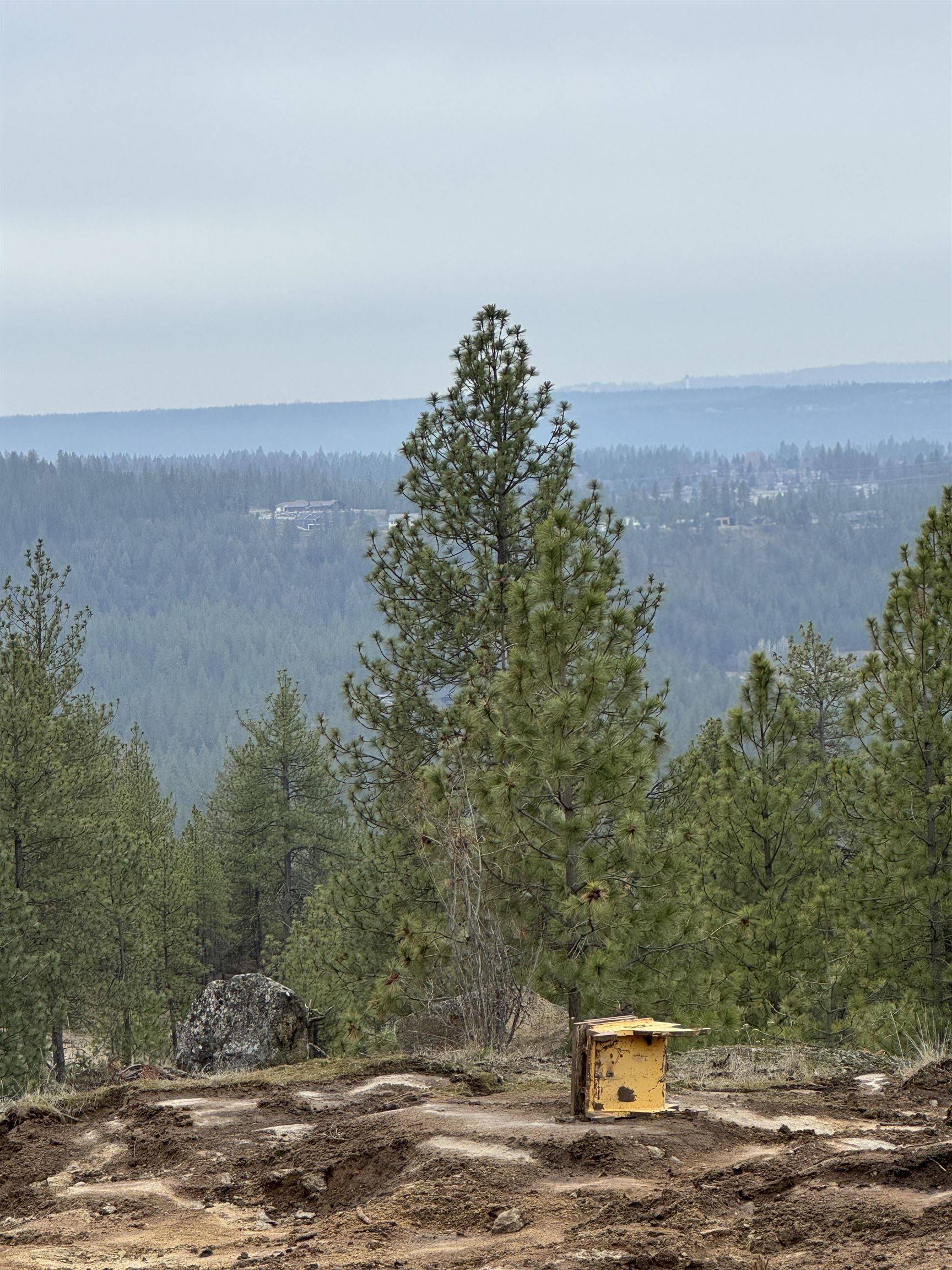 4699 W Landon Ln #Site 131, Spokane, WA 99208