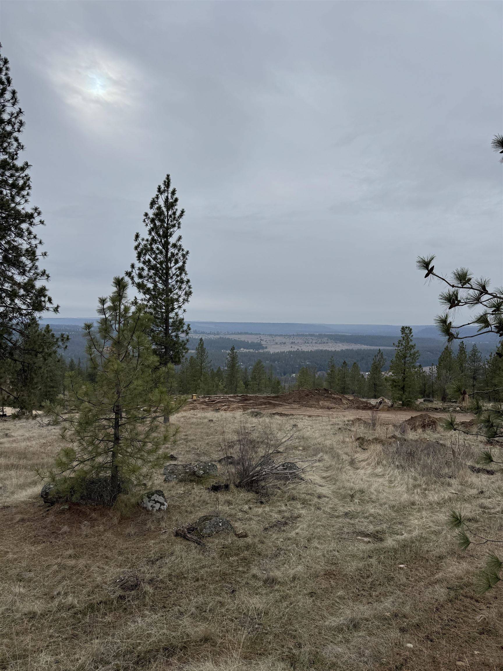 4699 W Landon Ln #Site 131, Spokane, WA 99208