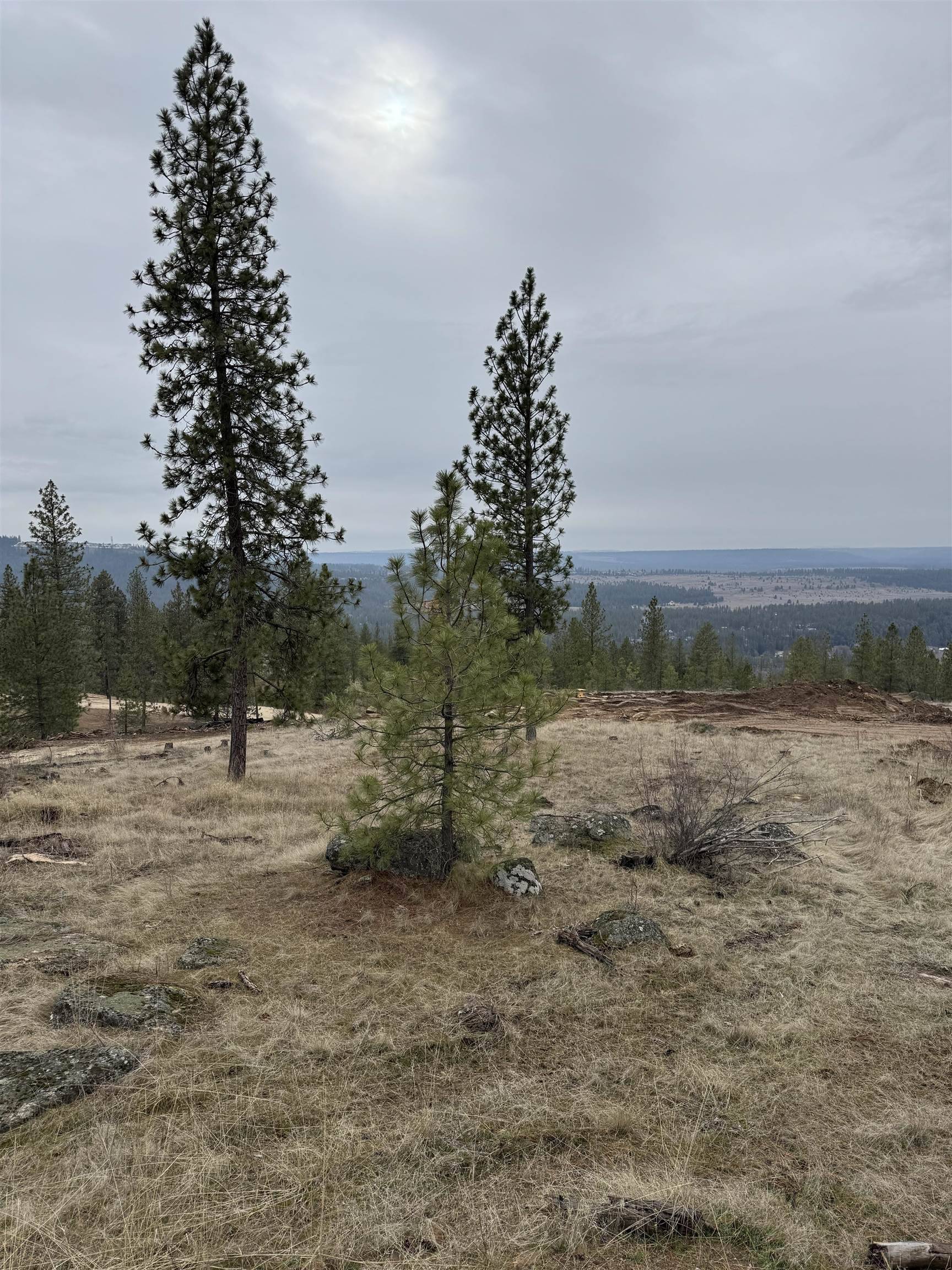 4699 W Landon Ln #Site 131, Spokane, WA 99208
