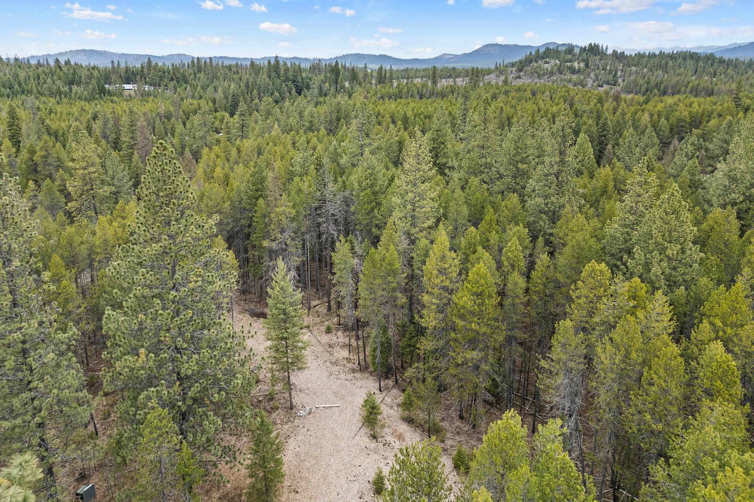 1901 Pines Rd, Newport, WA 99156