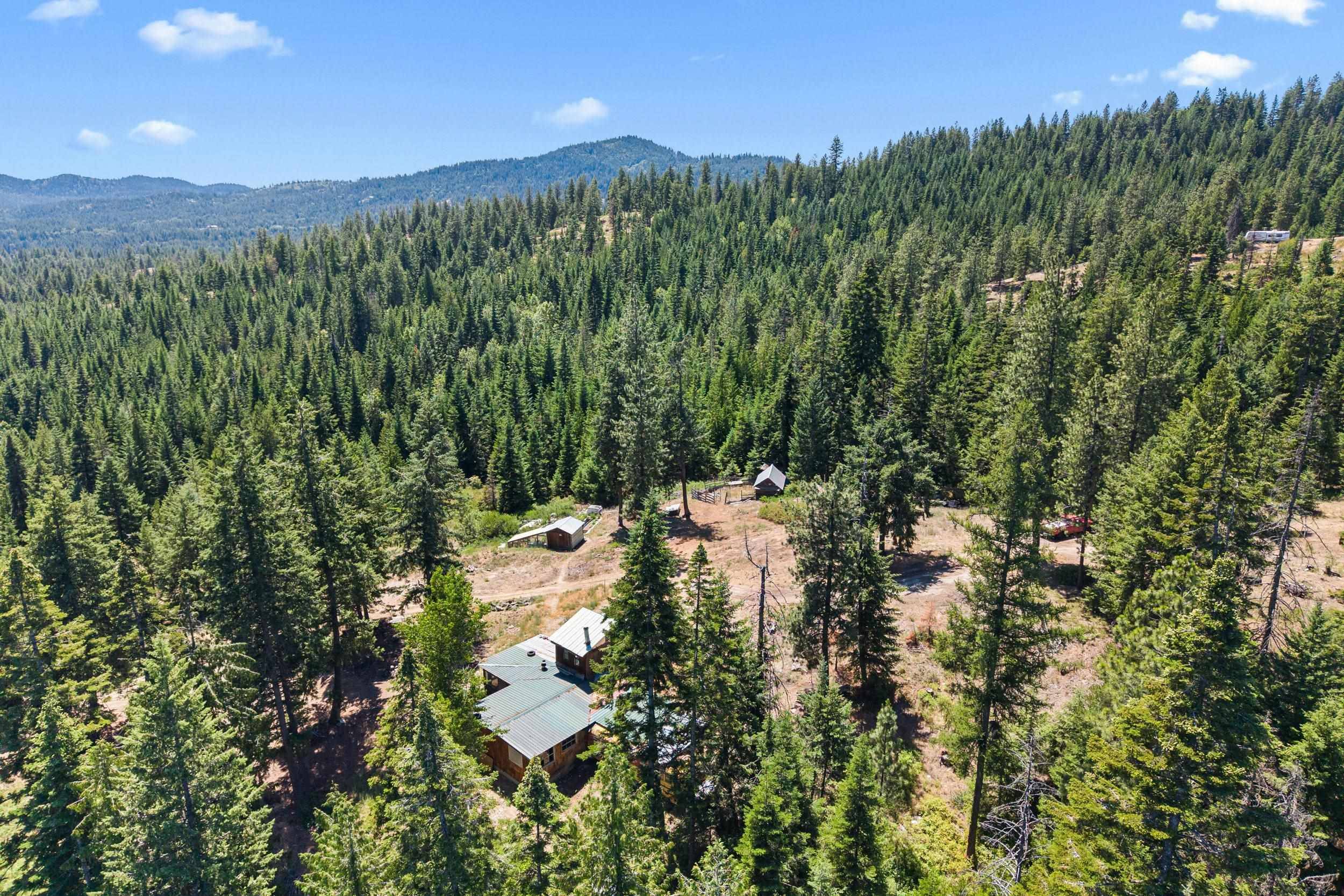 1022 Spring Hill Rd, Newport, WA 99156