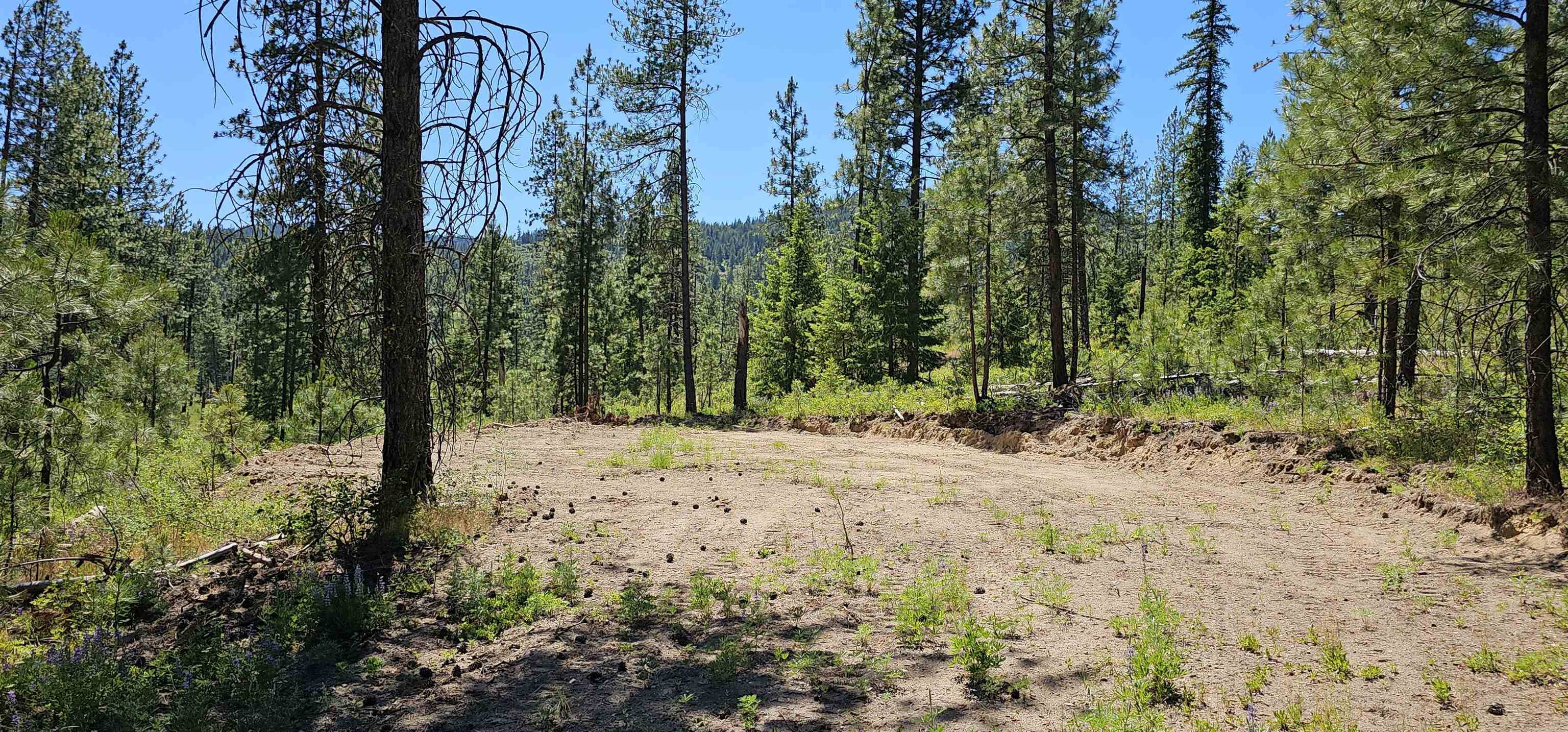 20X Lynx Rd, Inchelium, WA 99138