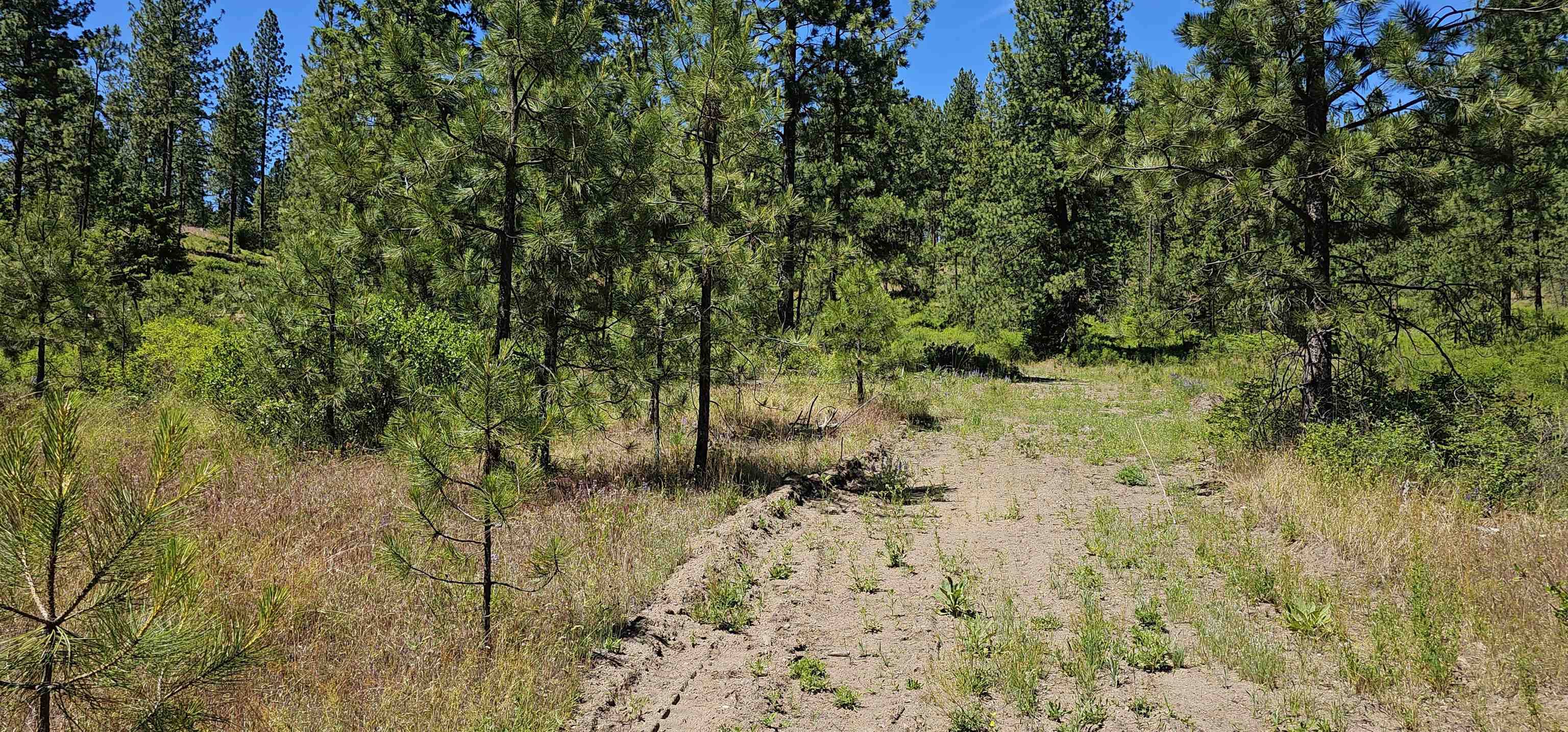 20X Lynx Rd, Inchelium, WA 99138
