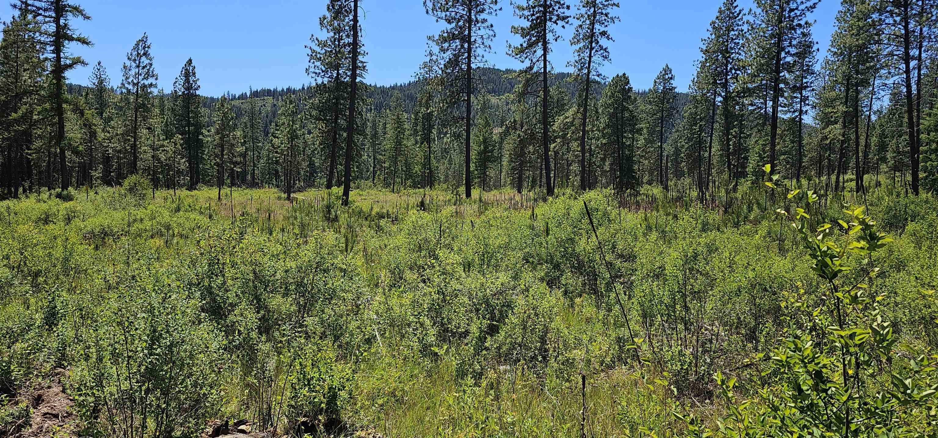 20X Lynx Rd, Inchelium, WA 99138