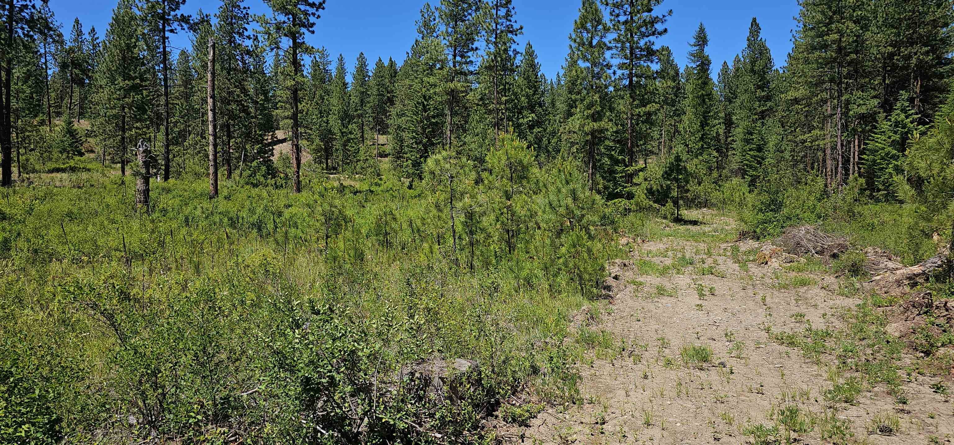 20X Lynx Rd, Inchelium, WA 99138