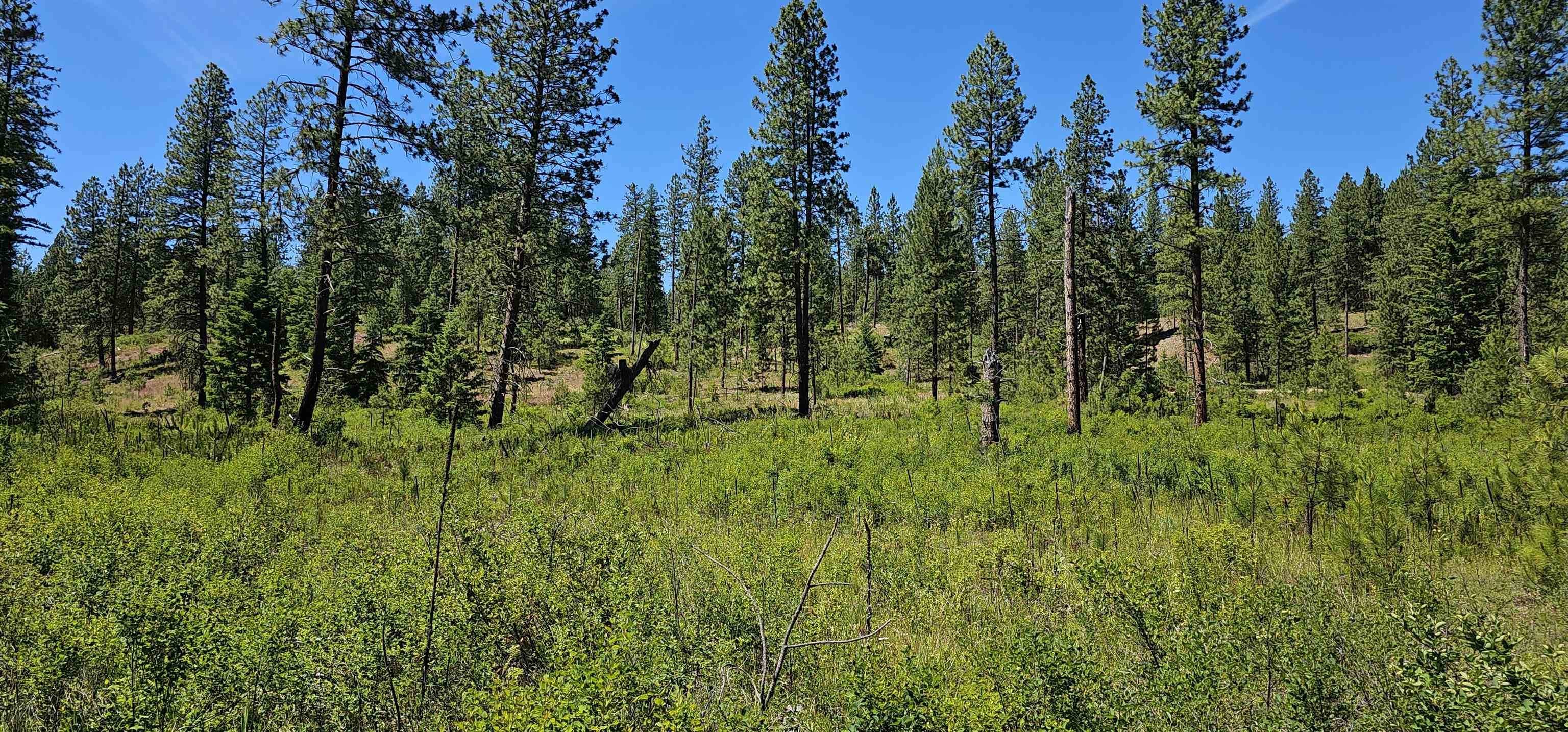 20X Lynx Rd, Inchelium, WA 99138