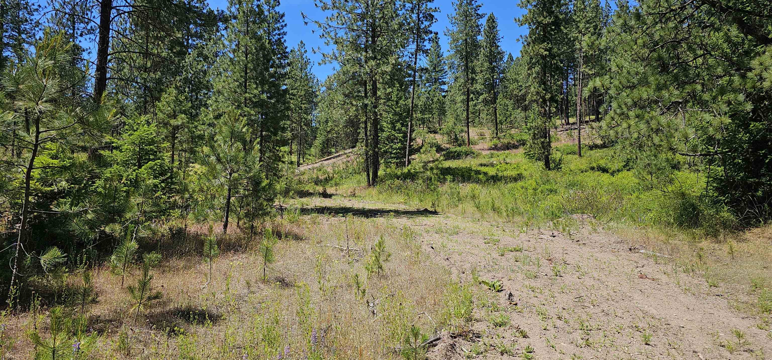 20X Lynx Rd, Inchelium, WA 99138