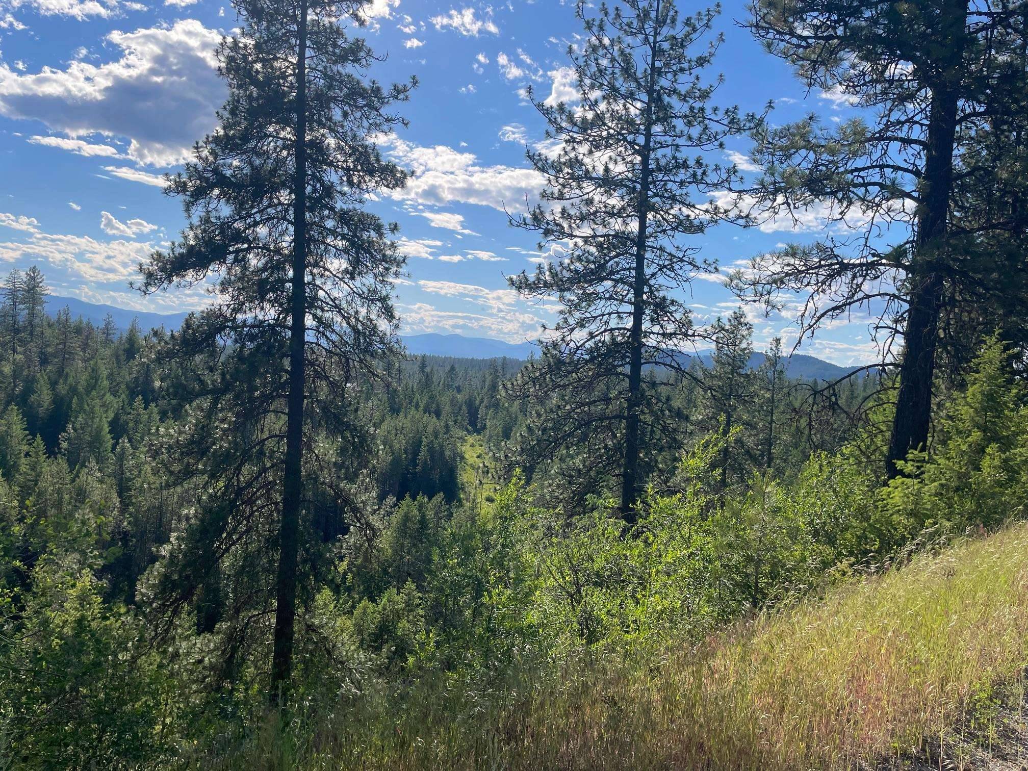 NKN Bead Lake Road Rd, Newport, WA 99156
