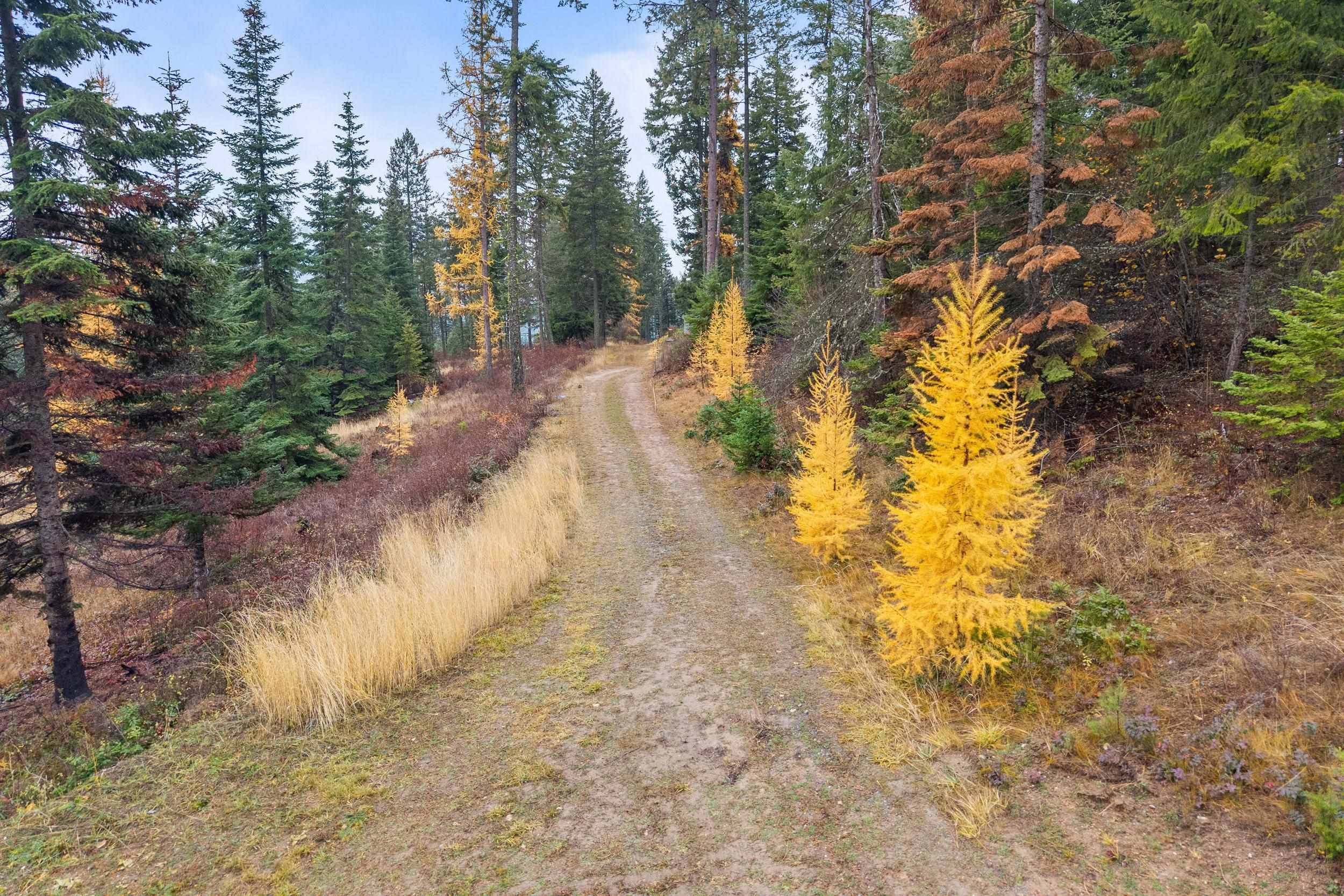 717 C Finley Gulch Rd, Colville, WA 99114
