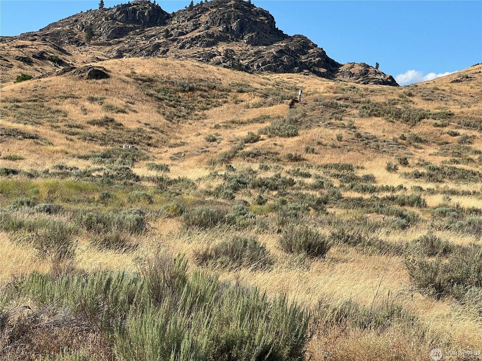 Lot 3 Gunsmoke Rd, Brewster, WA 98812