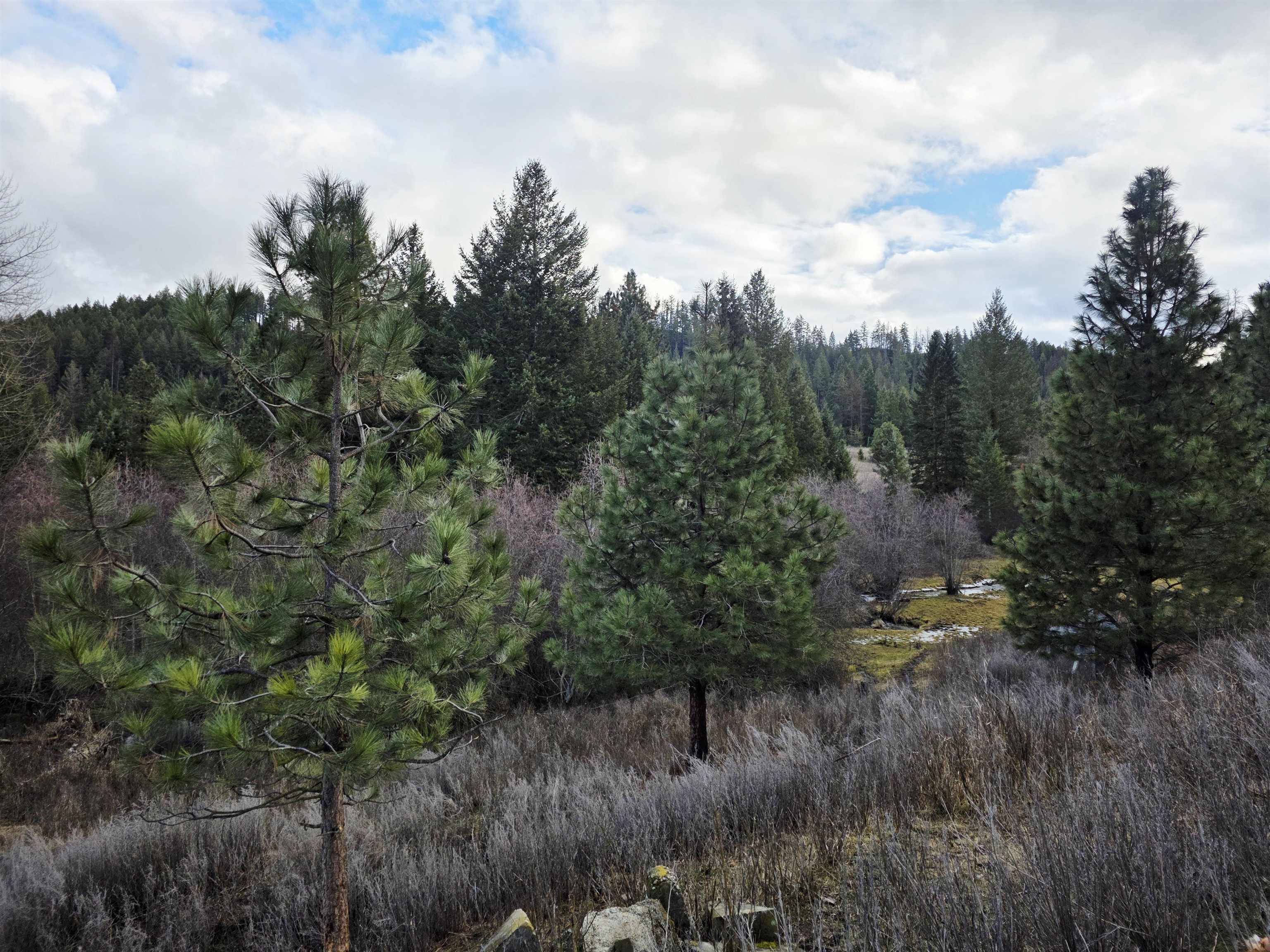 2477 Cedonia-Addy Rd, Addy, WA 99101