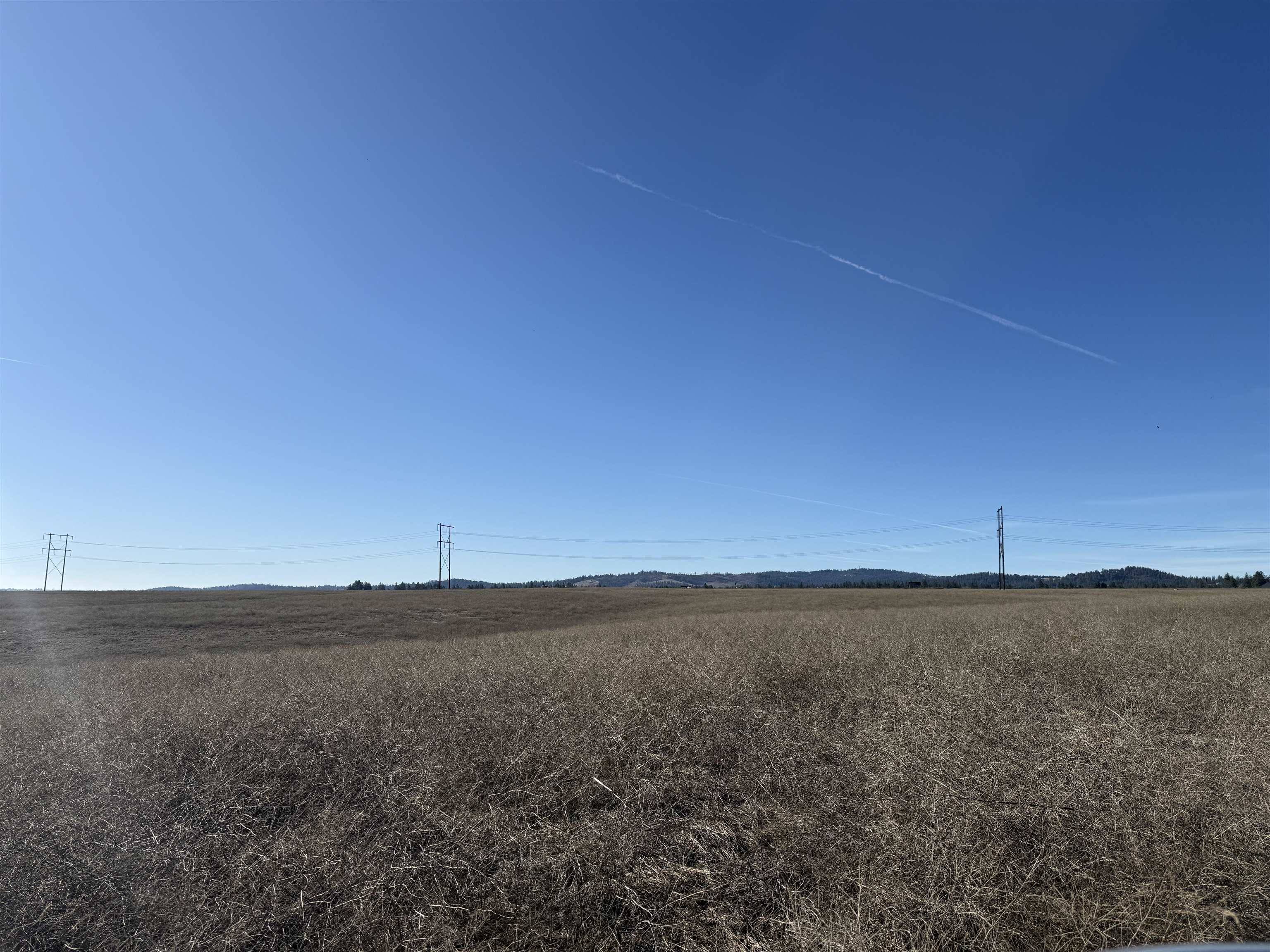 21XXX N Division Ln, Colbert, WA 99005