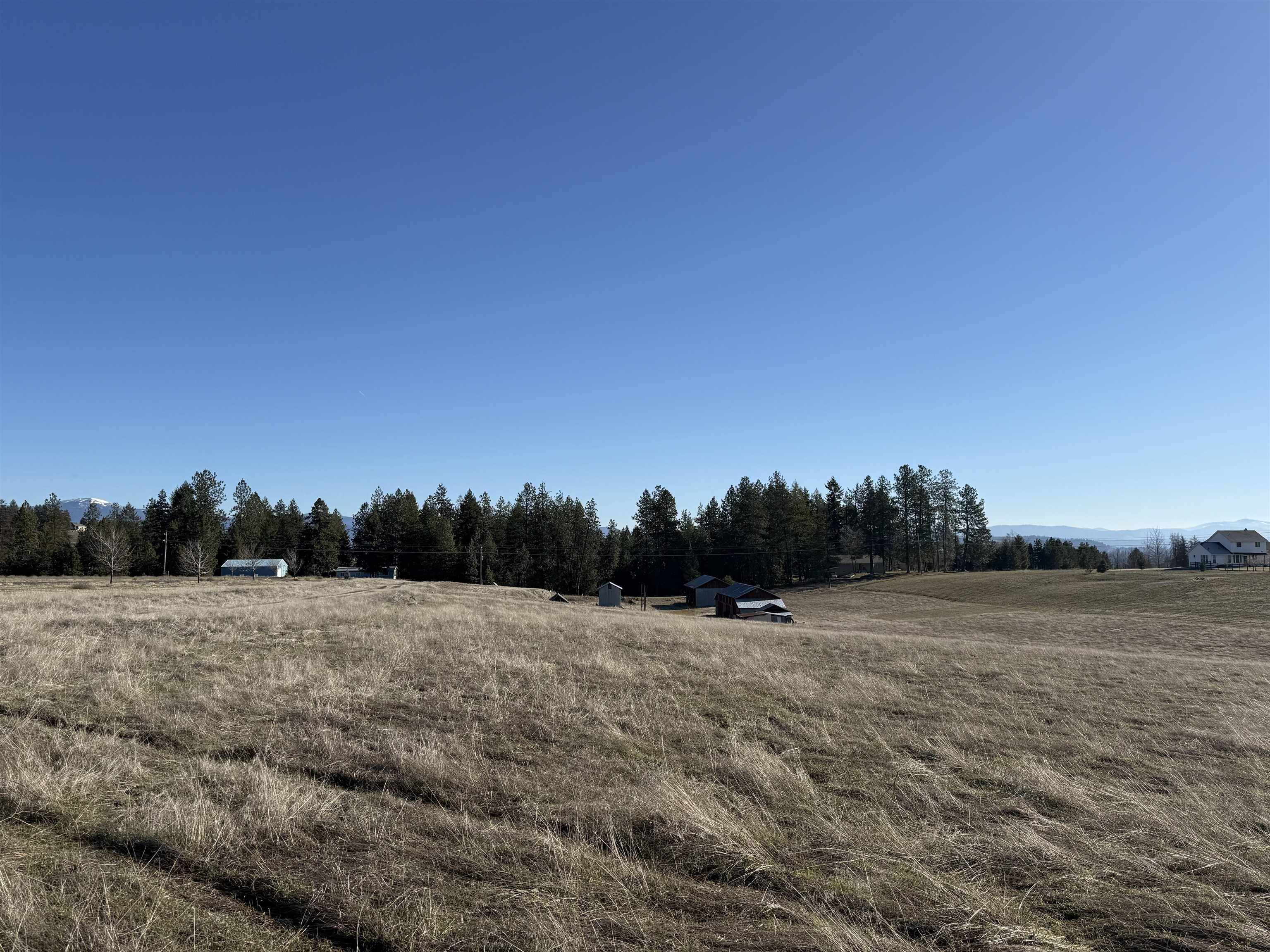 21XXX N Division Ln, Colbert, WA 99005
