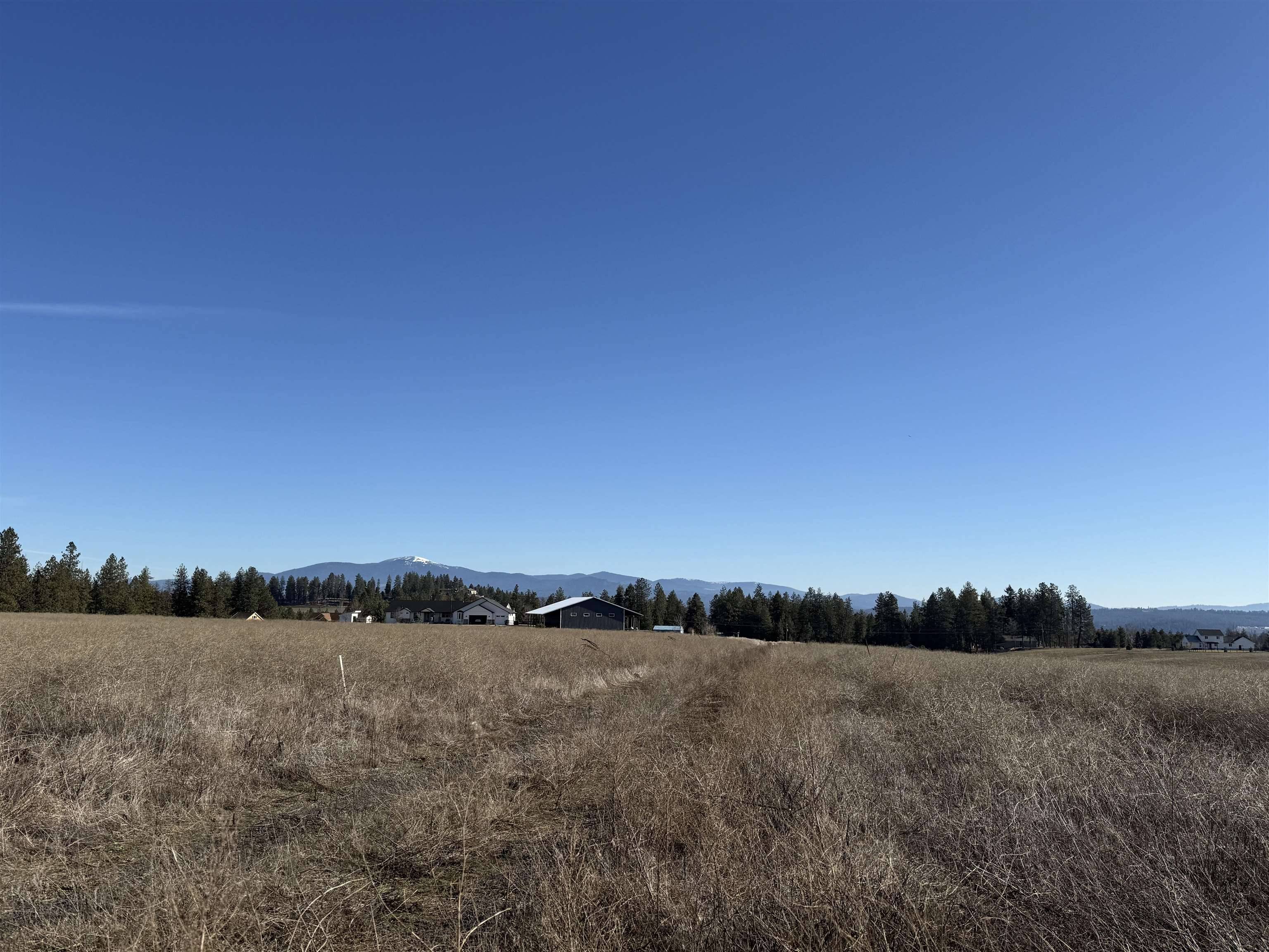 21XXX N Division Ln, Colbert, WA 99005