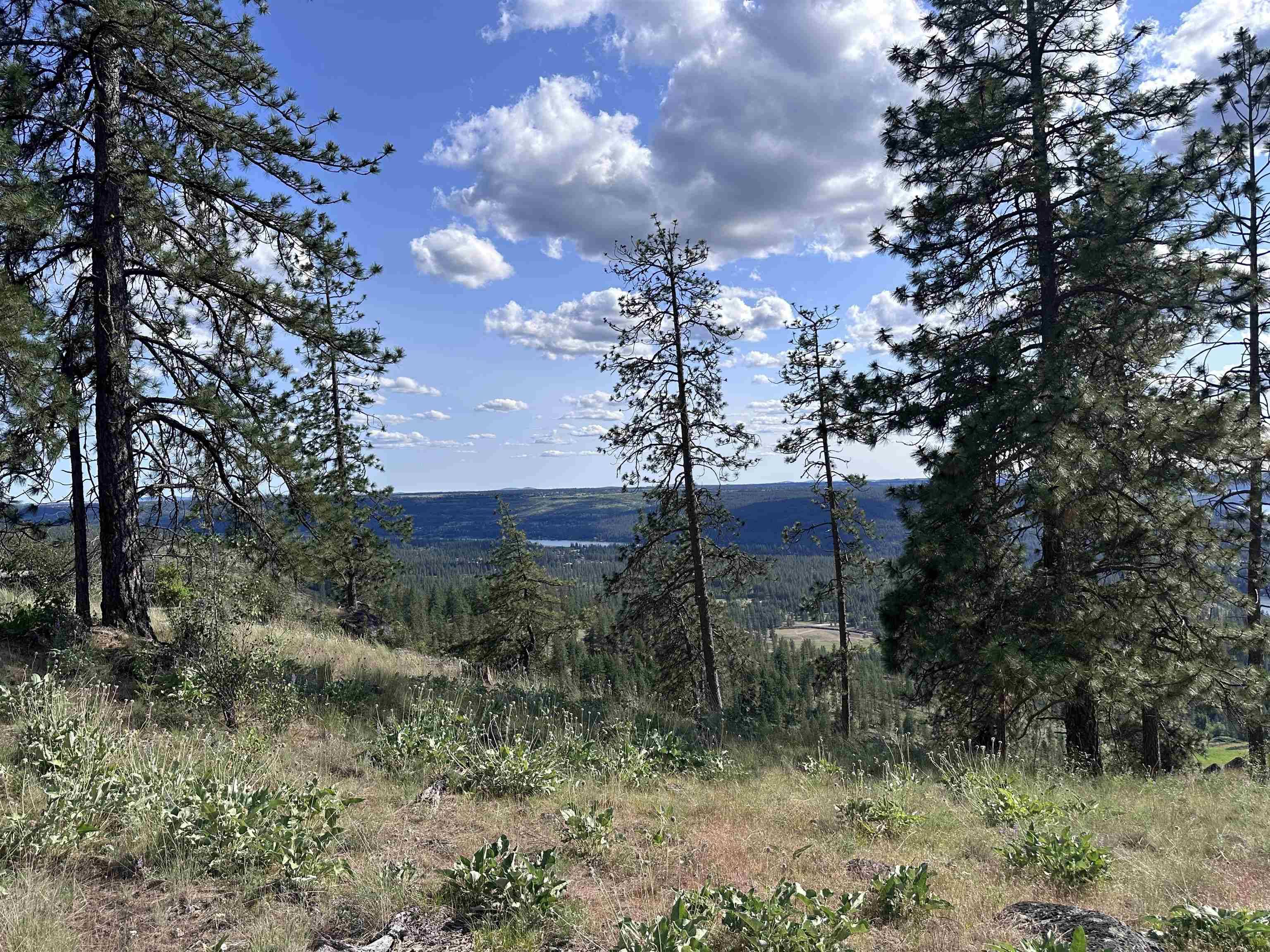 6581 Saddle Mountain WAY, Deer Park, WA 99006