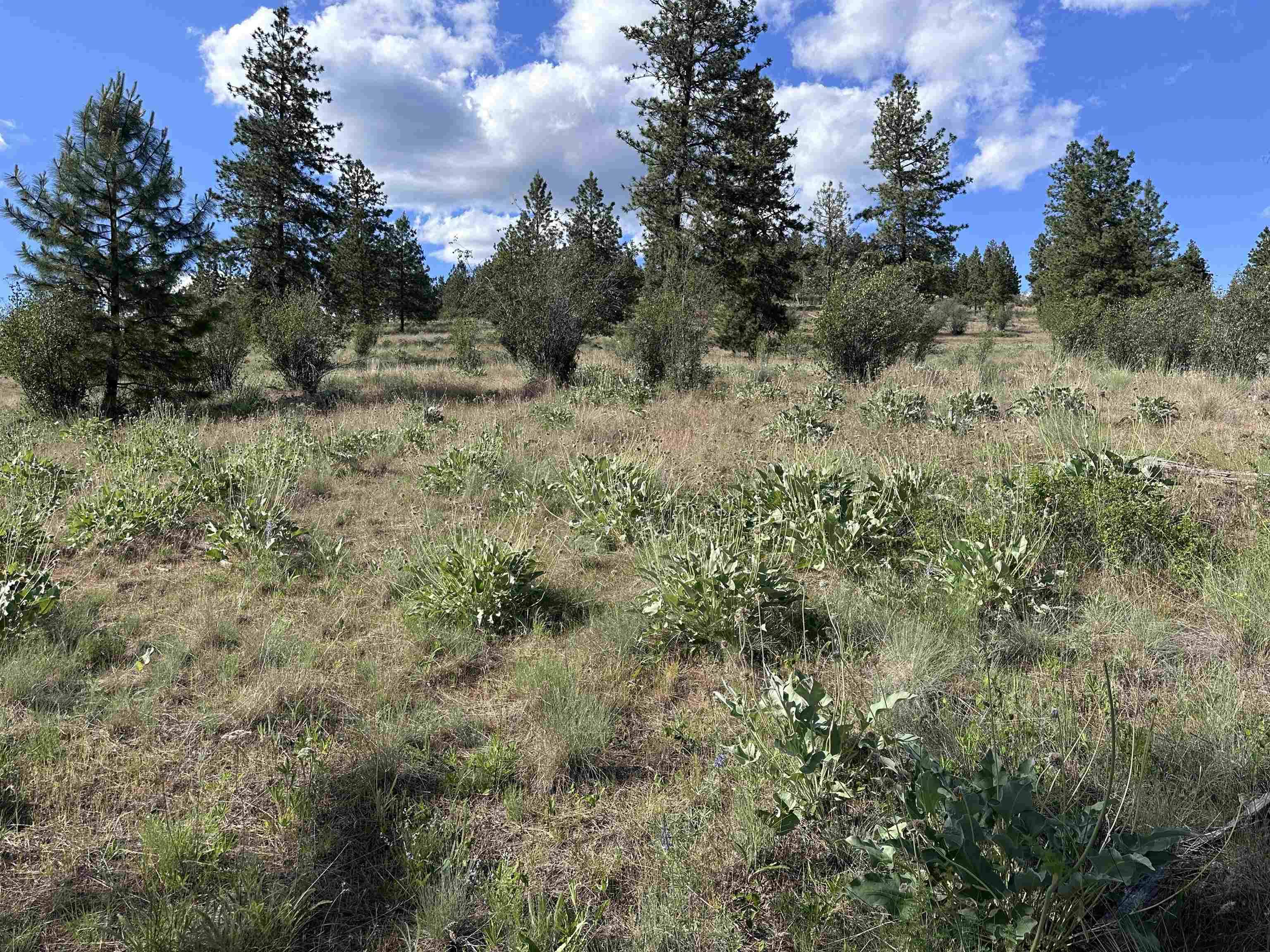 6581 Saddle Mountain WAY, Deer Park, WA 99006