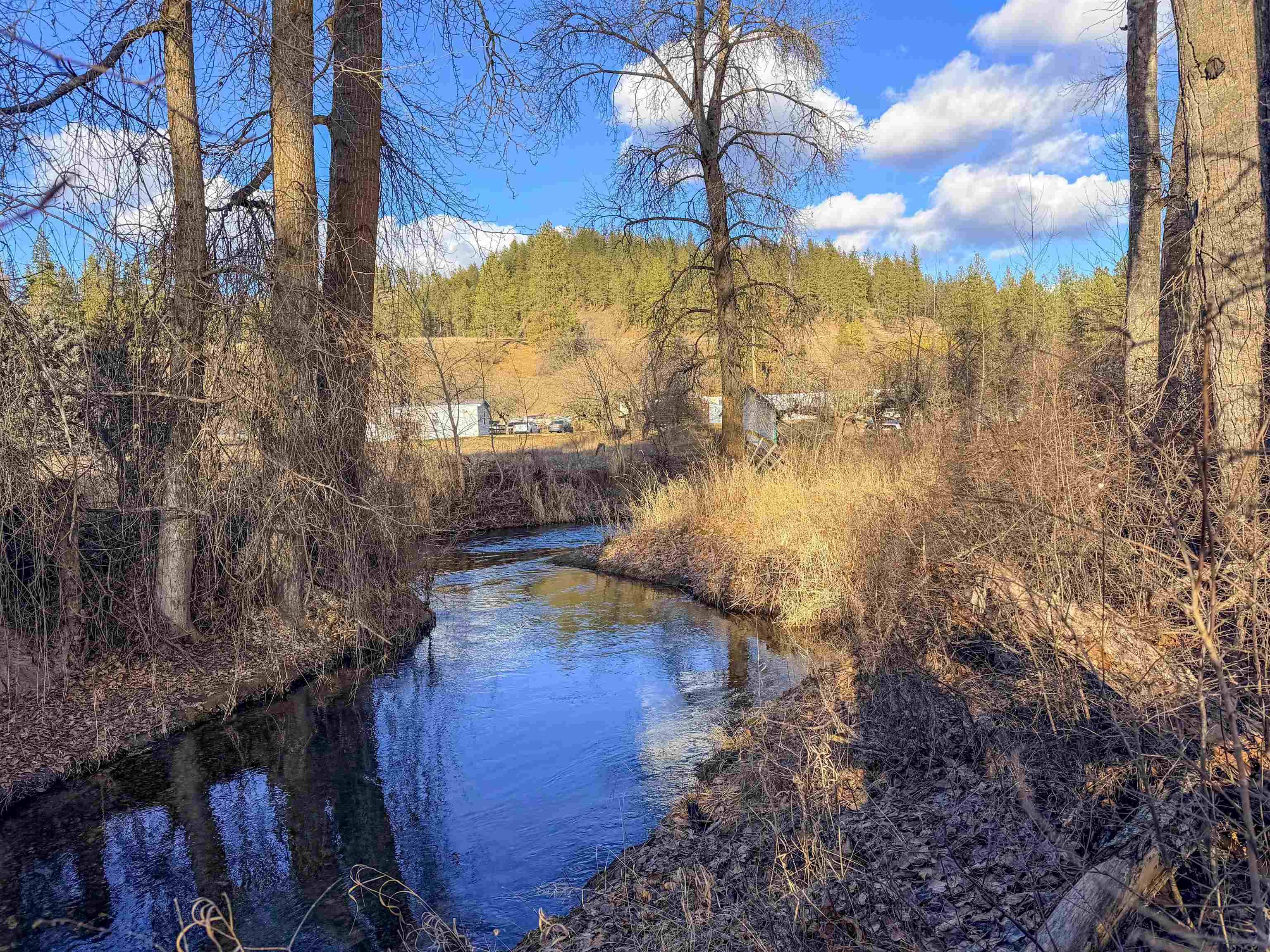 32X Aladdin Rd, Colville, WA 99114