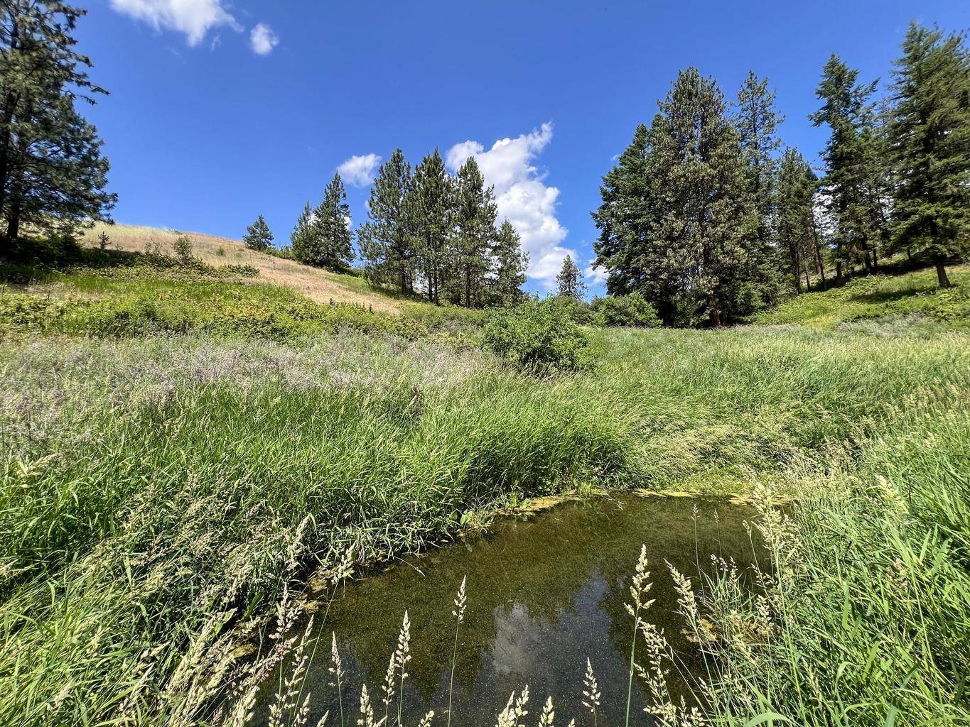 598 N 395 Hwy, Kettle Falls, WA 99141