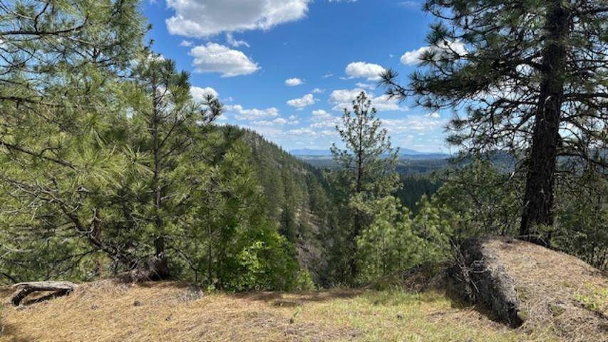 NKA Landon Ln, Spokane, WA 99208