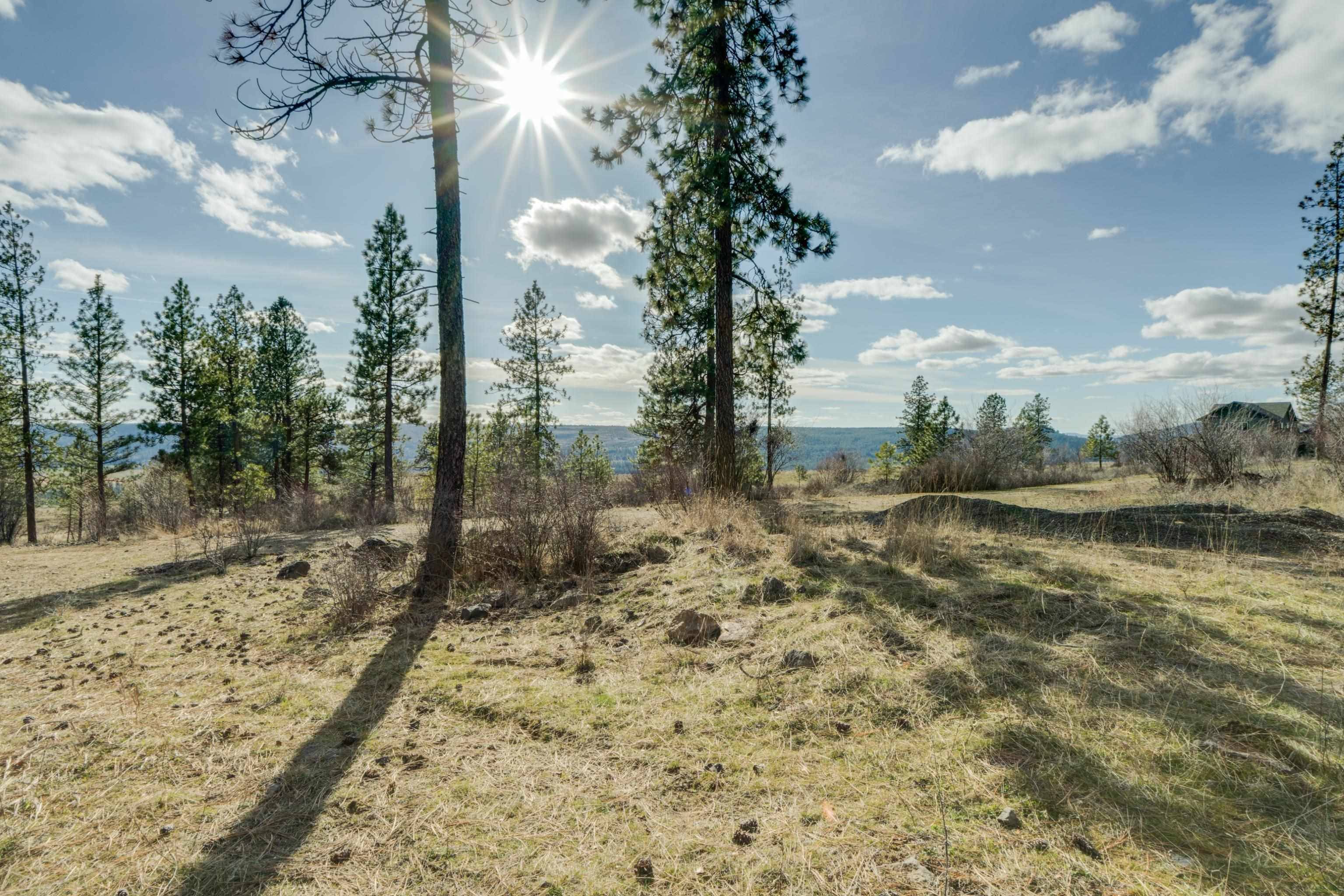 6XXX Pine Ridge Dr, Nine Mile Falls, WA 99026