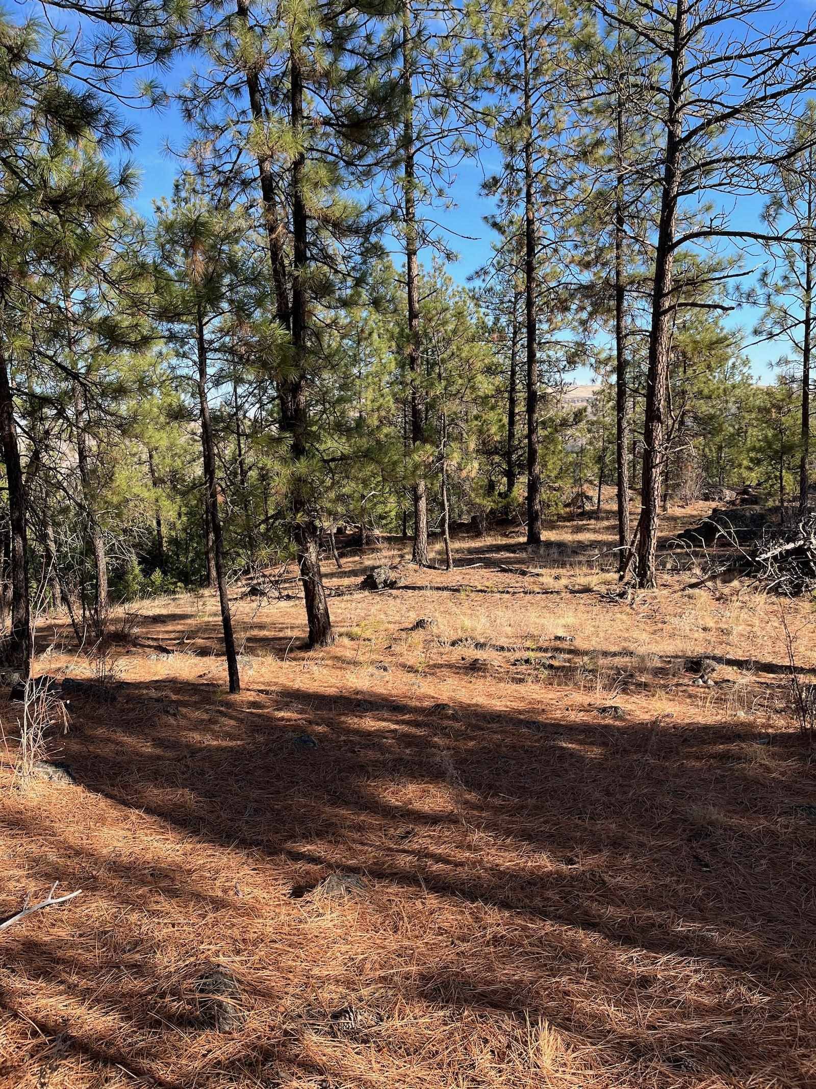Lot 2 Wapiti Bobwhite Ln, Davenport, WA 99122