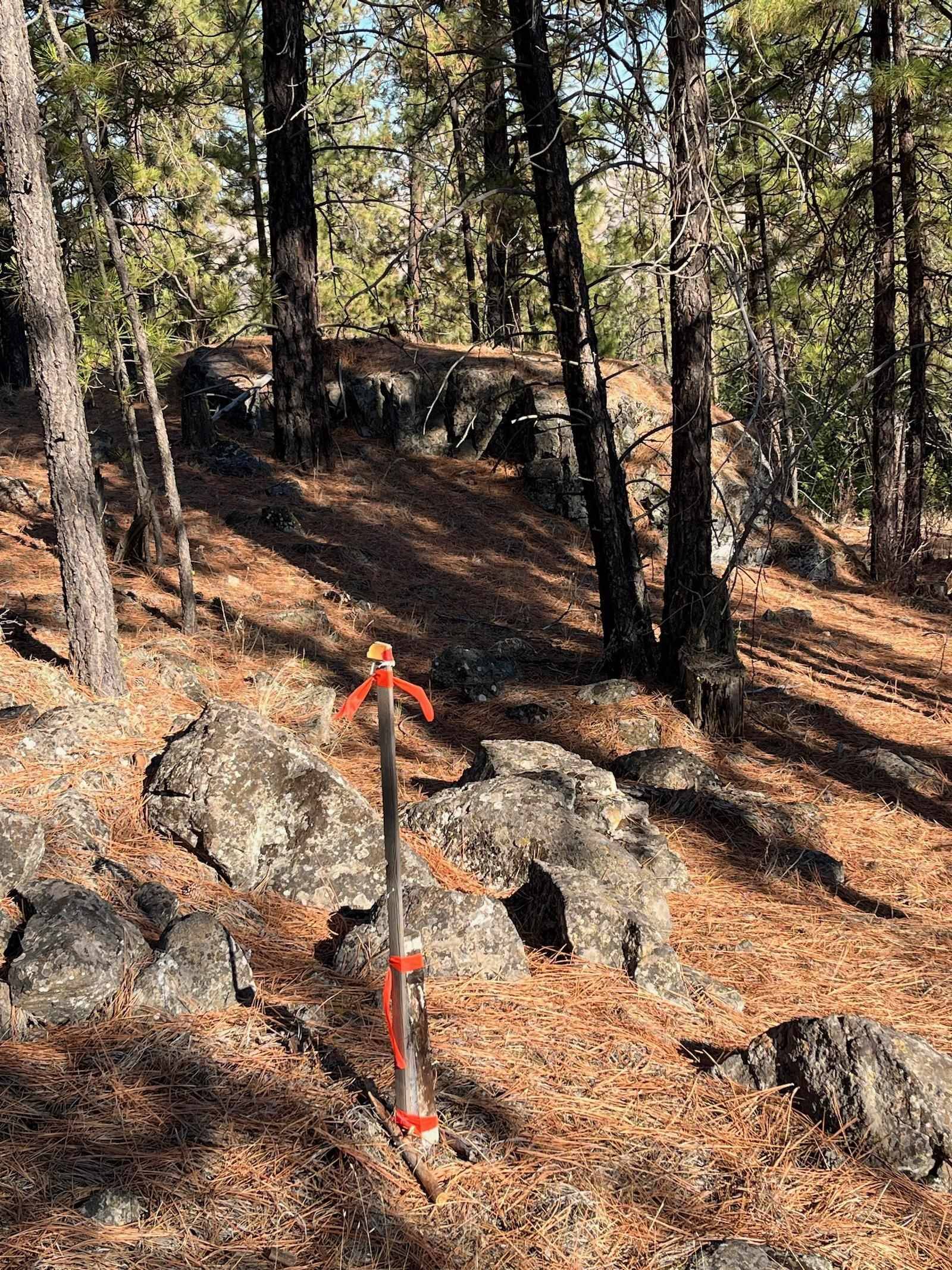 Lot 2 Wapiti Bobwhite Ln, Davenport, WA 99122