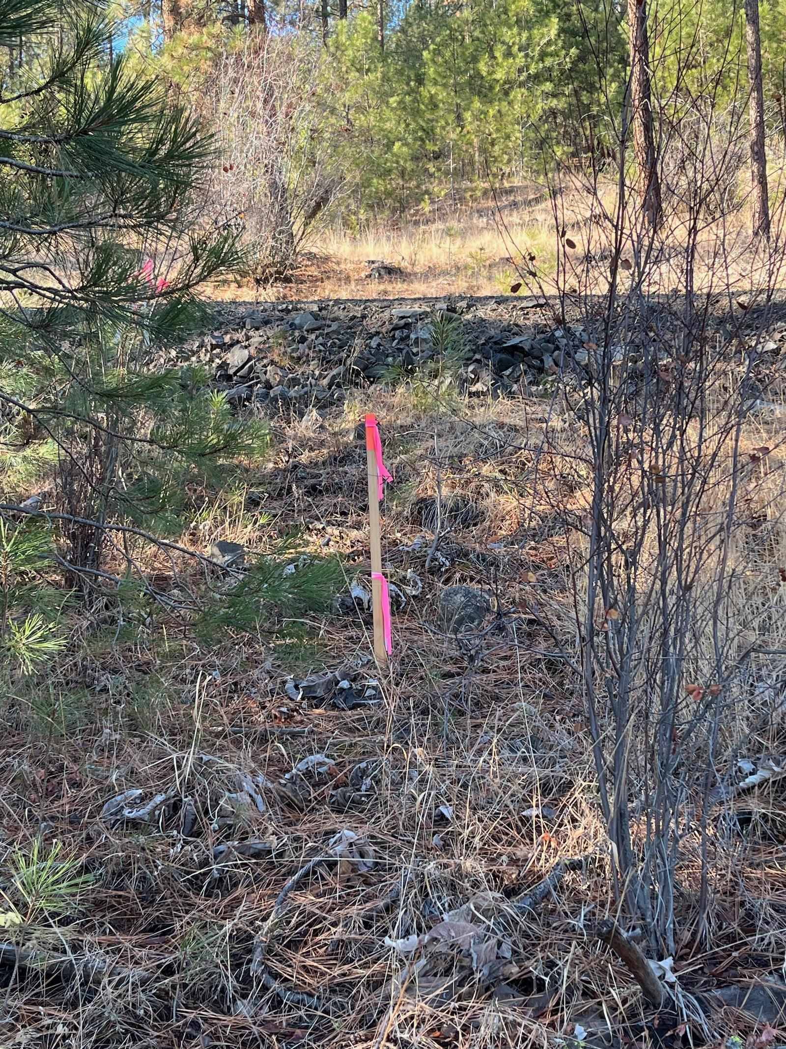 Lot 2 Wapiti Bobwhite Ln, Davenport, WA 99122