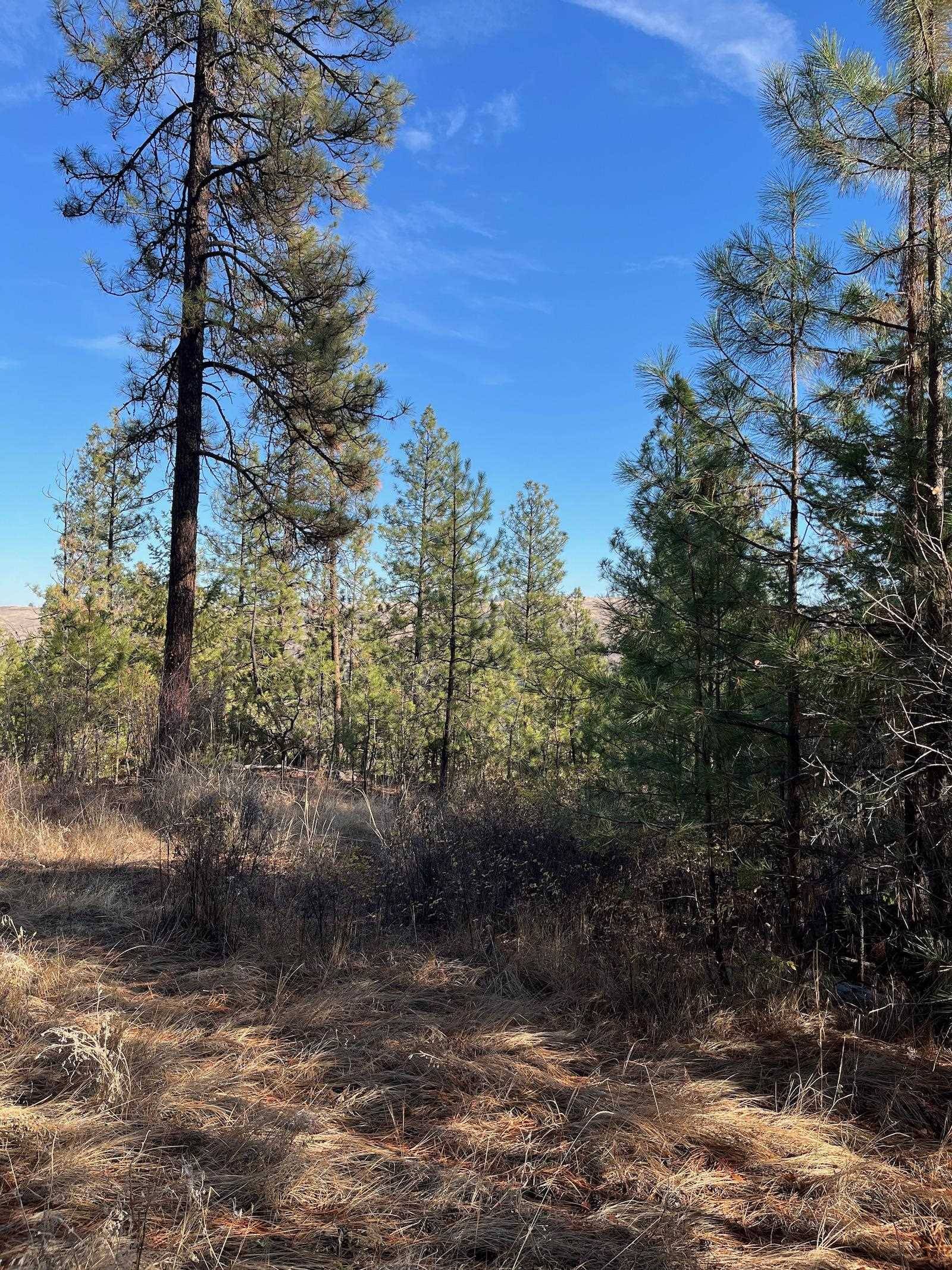 Lot 2 Wapiti Bobwhite Ln, Davenport, WA 99122