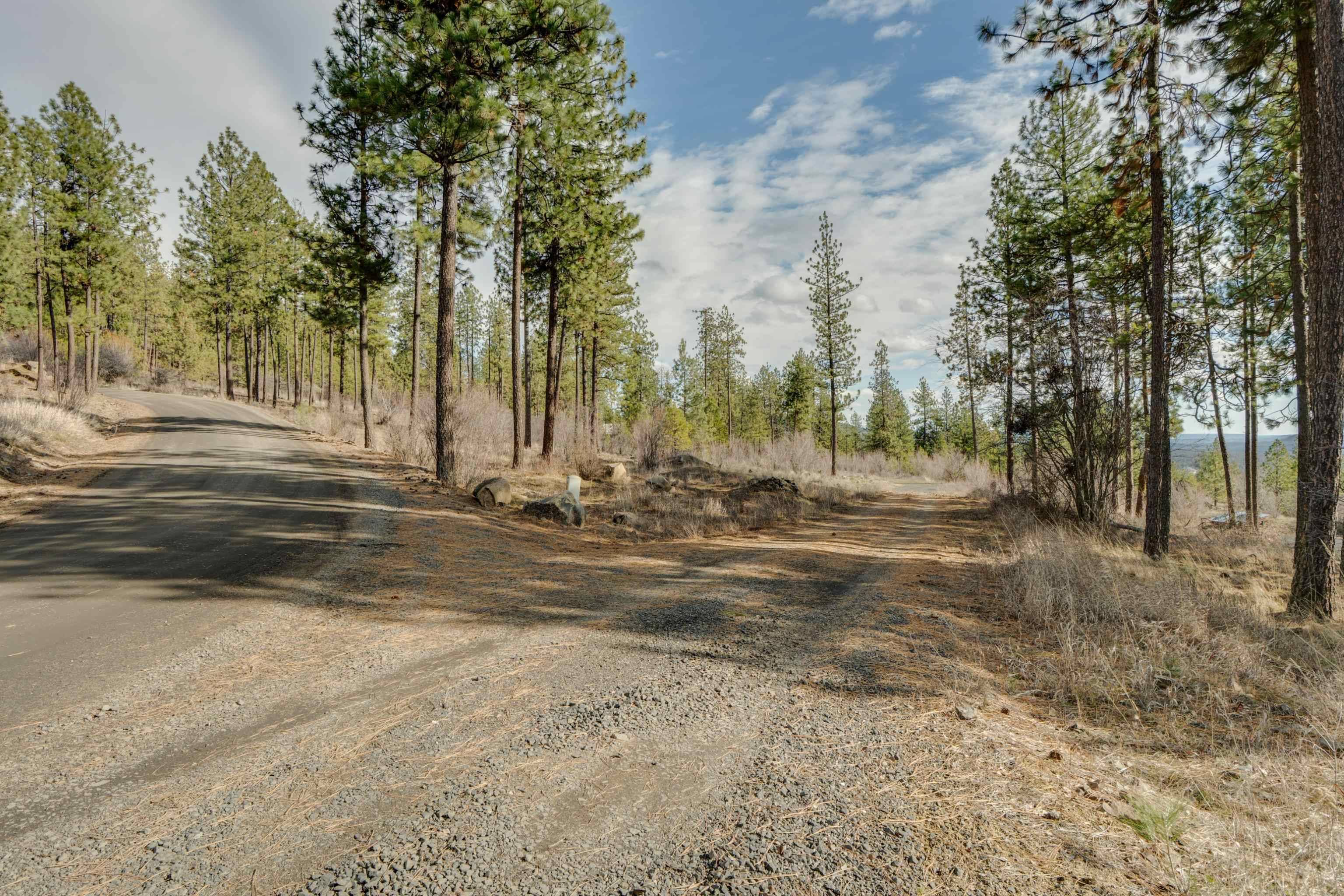 6XXX Stony WAY, Nine Mile Falls, WA 99026