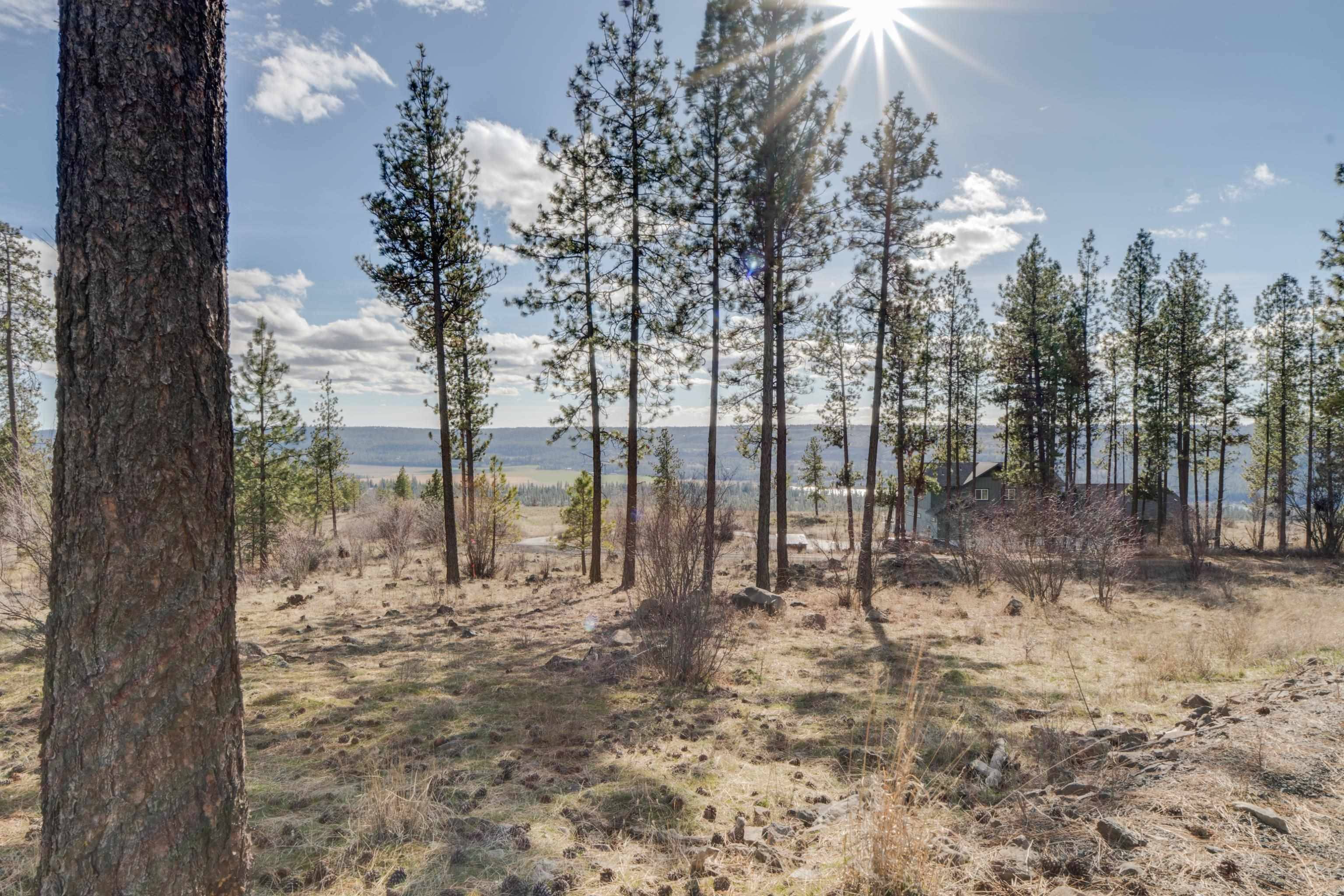 6XXX Stony WAY, Nine Mile Falls, WA 99026