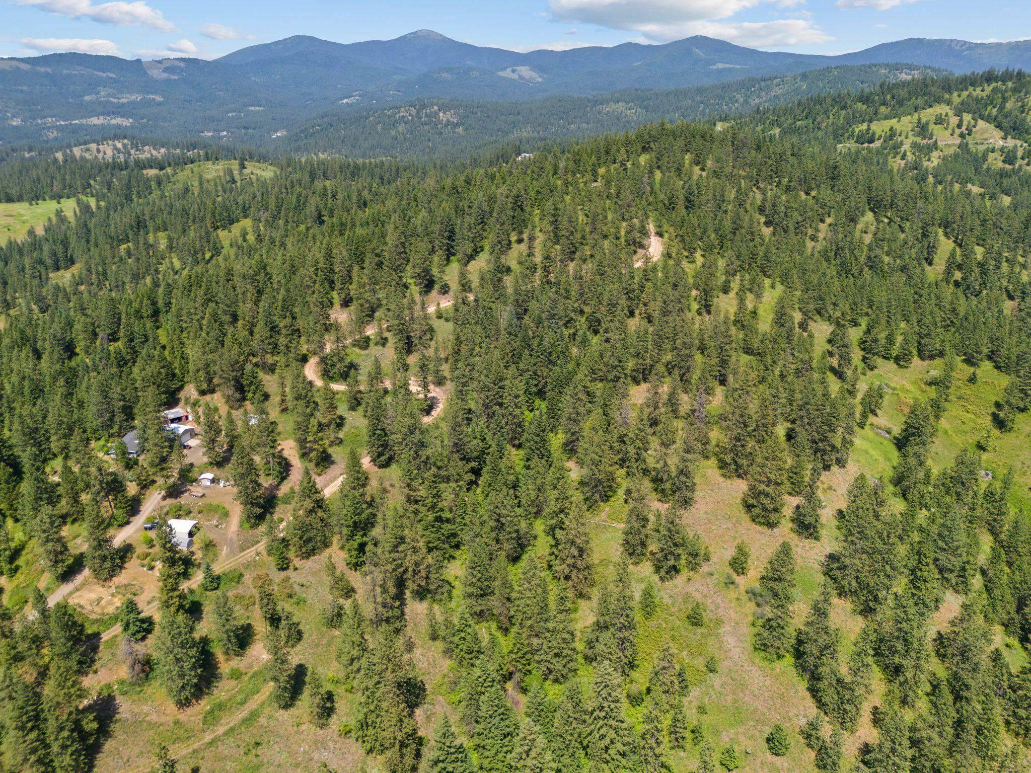 NNA Scribner Branch Rd, Mead, WA 99217