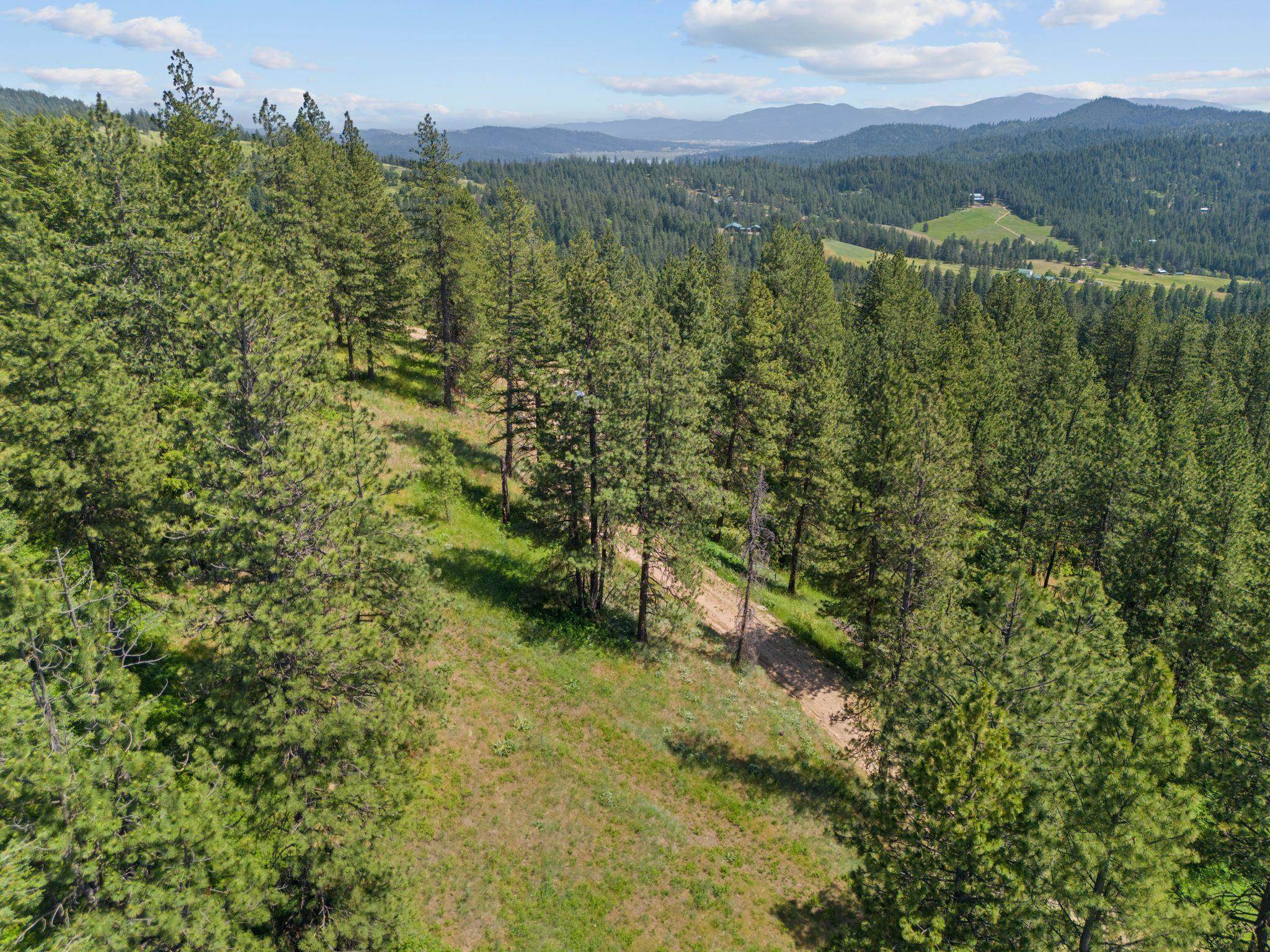 NNA Scribner Branch Rd, Mead, WA 99217