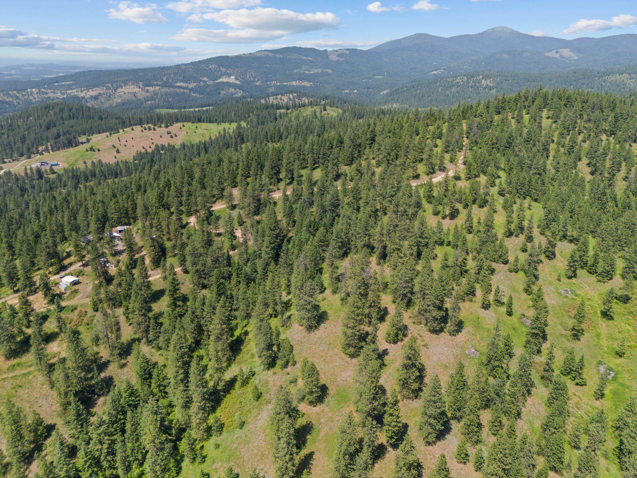 NNA Scribner Branch Rd, Mead, WA 99217