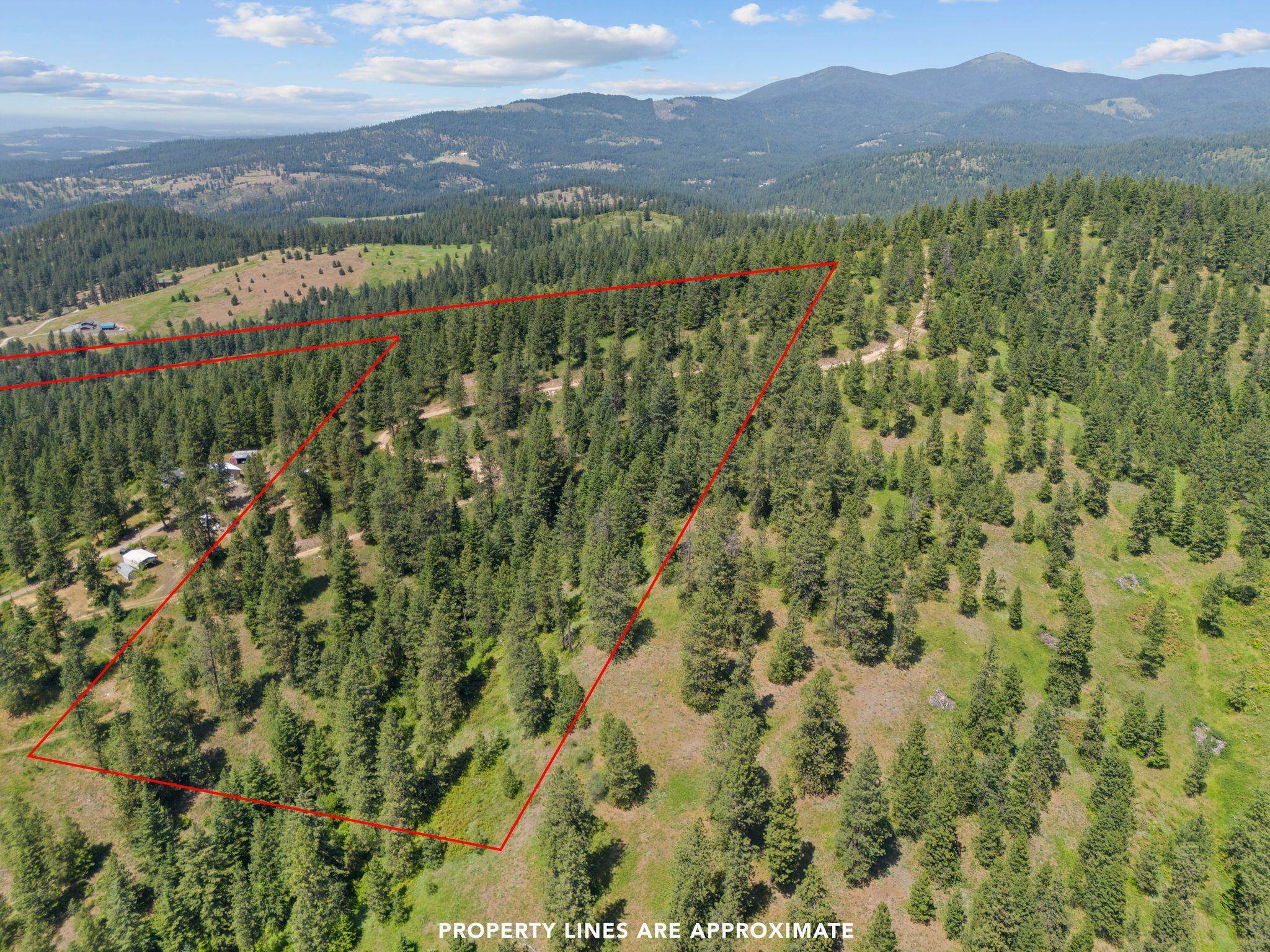 NNA Scribner Branch Rd, Mead, WA 99217