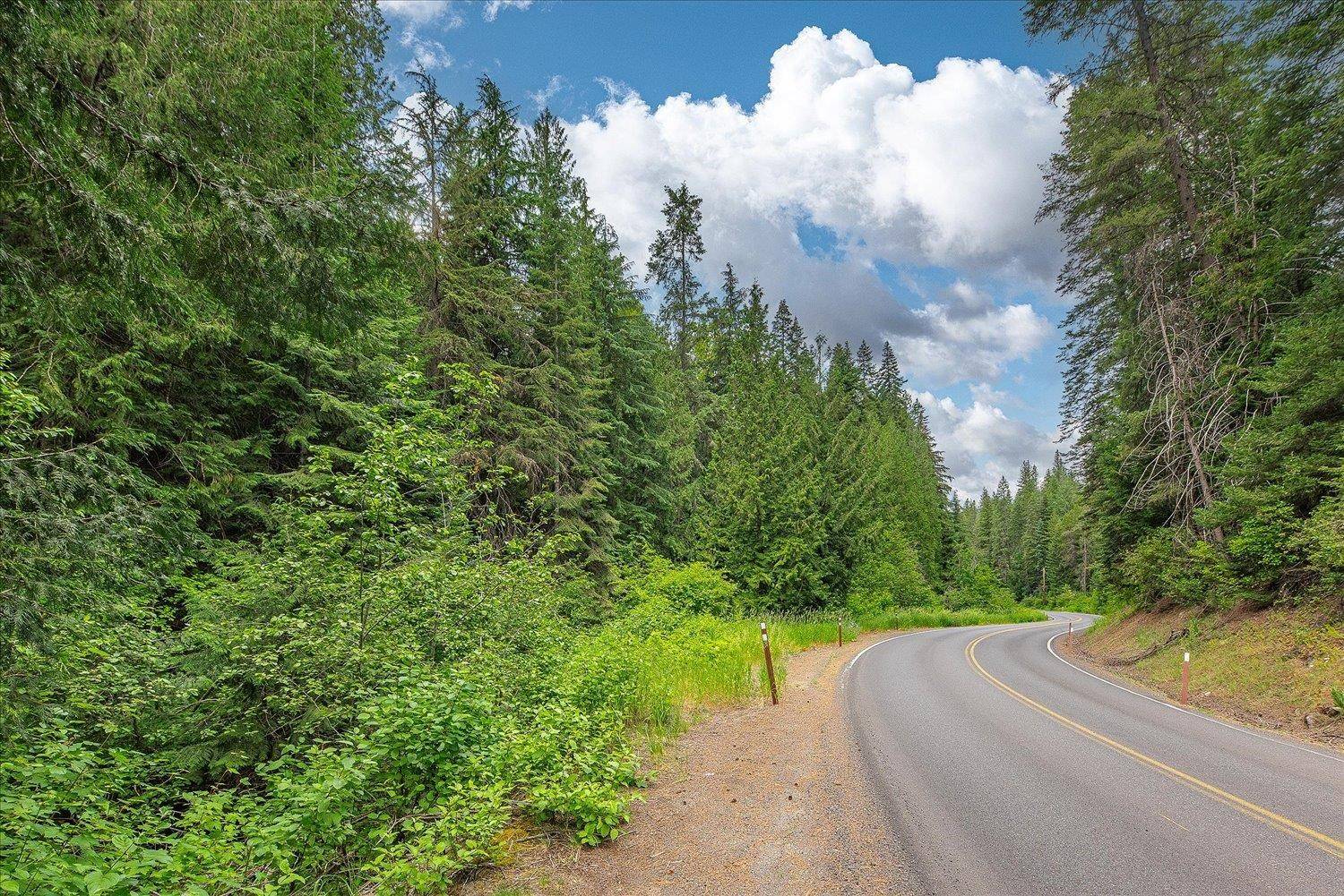 19970 N Mt Spokane Park Dr #Parcel # 47134.9026, Mead, WA 99021