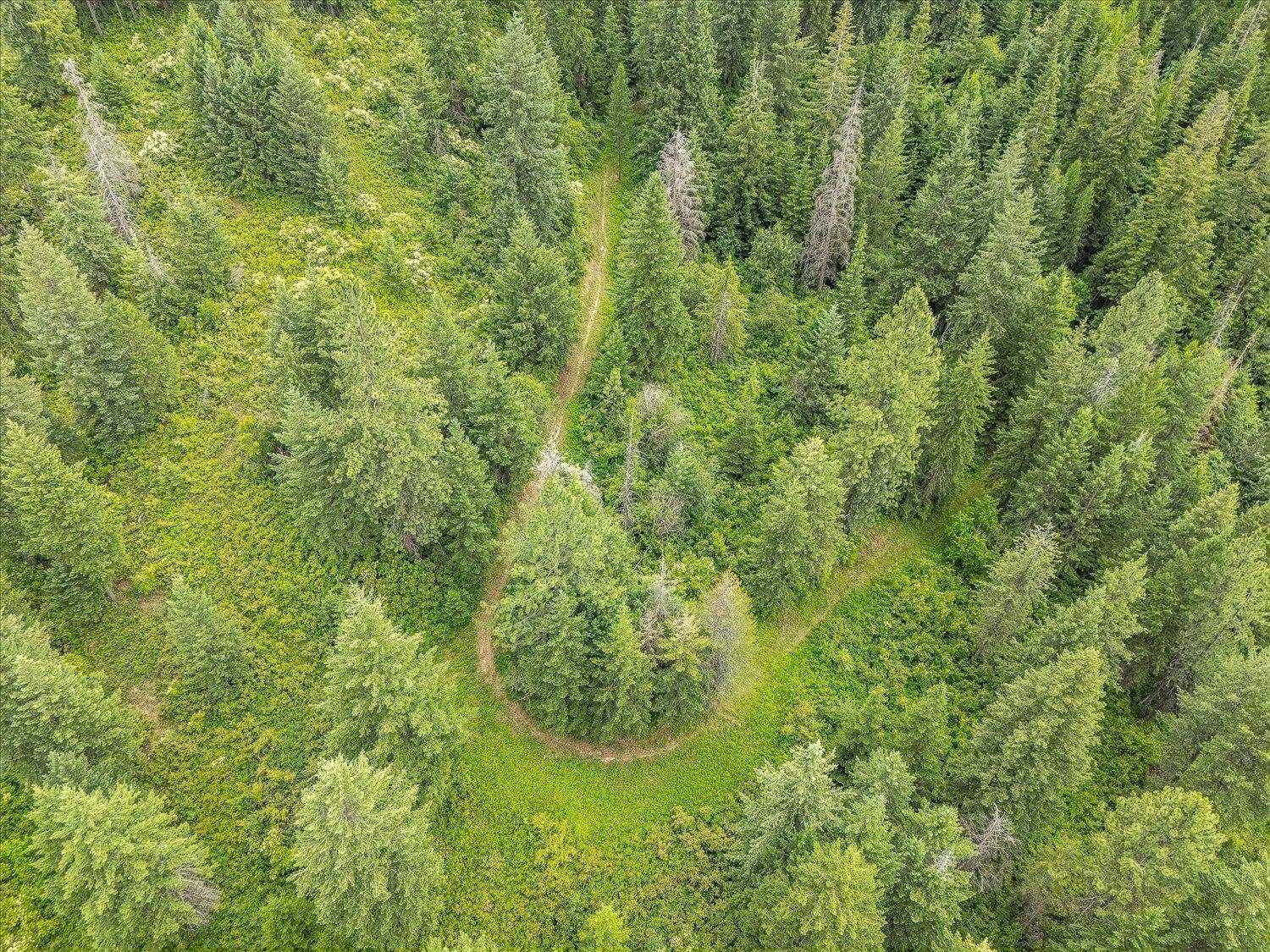 19960 N Mt Spokane Park Dr #Parcel # 47134.9099, Mead, WA 99021