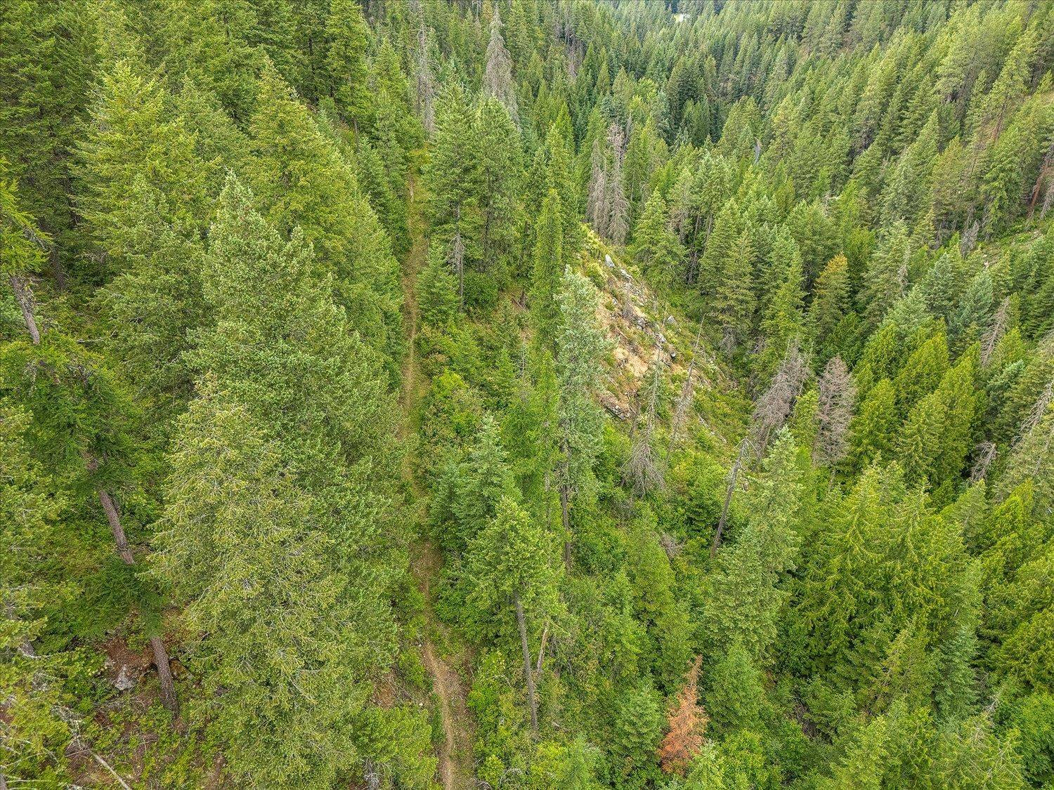 19960 N Mt Spokane Park Dr #Parcel # 47134.9099, Mead, WA 99021